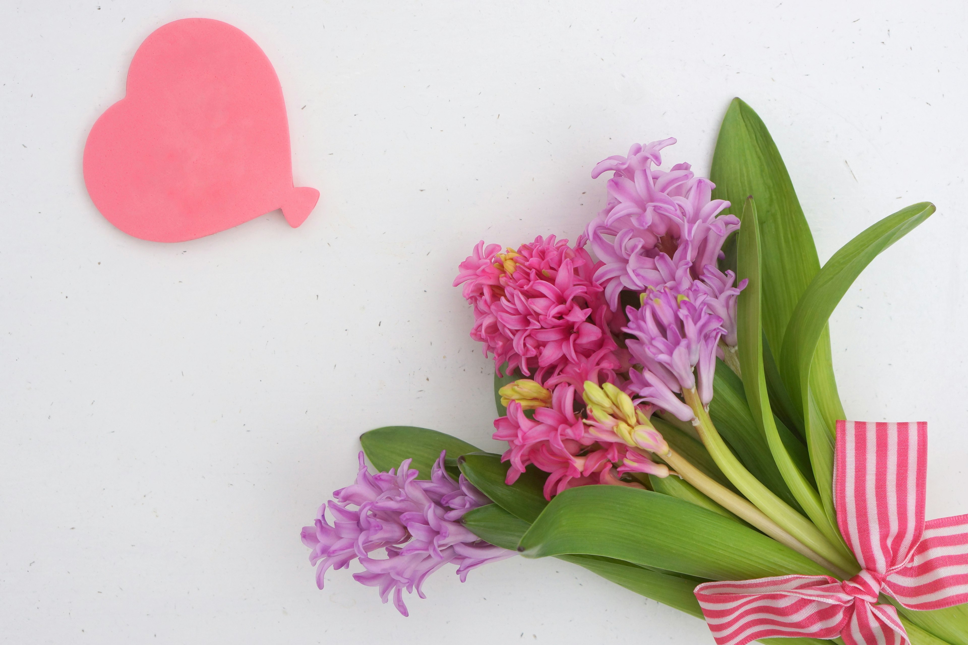 Sekumpulan bunga hyacinth pink dengan pita dan balon berbentuk hati pink