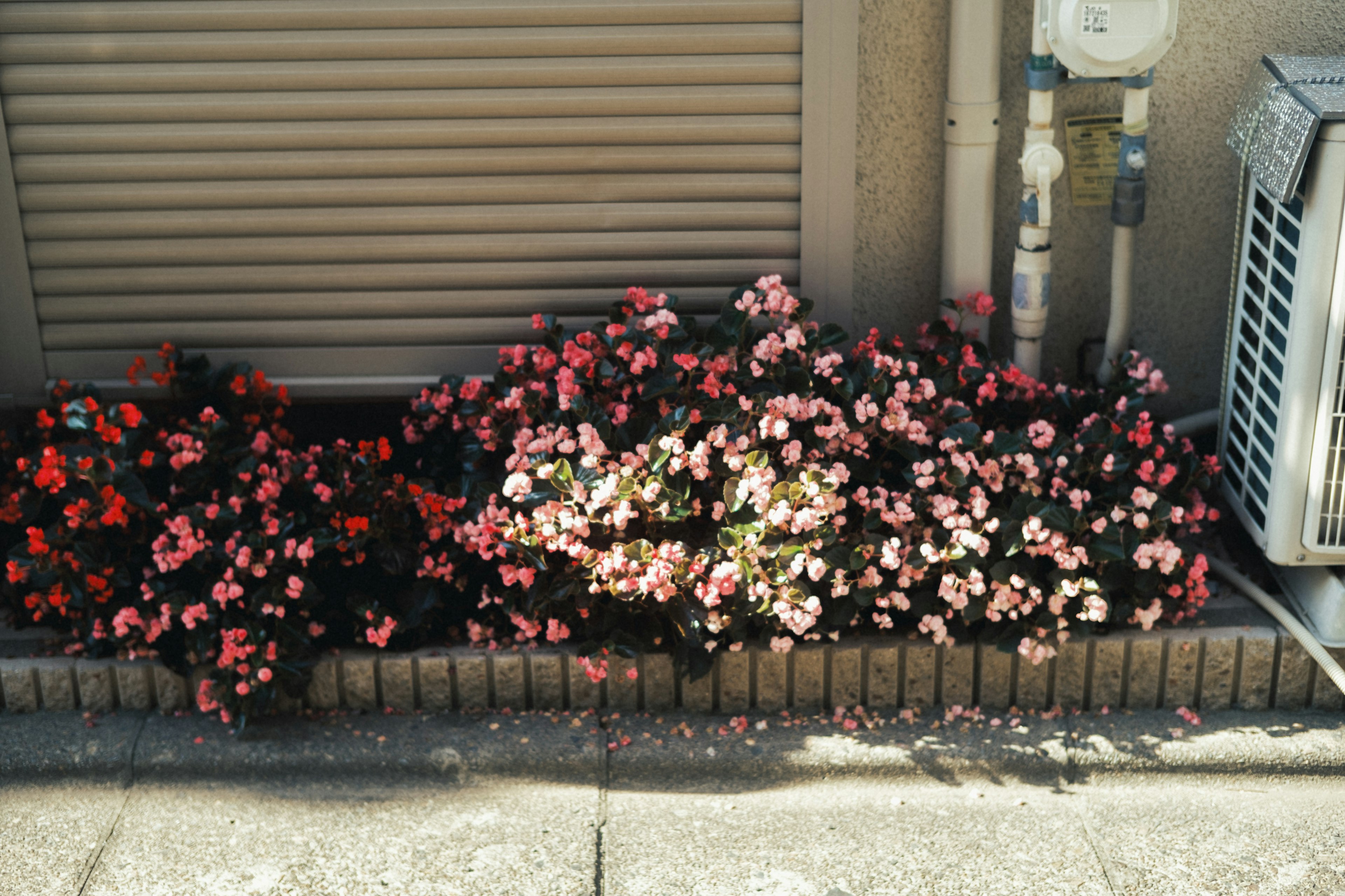 色とりどりのベゴニアが咲いている花壇とエアコンがある風景