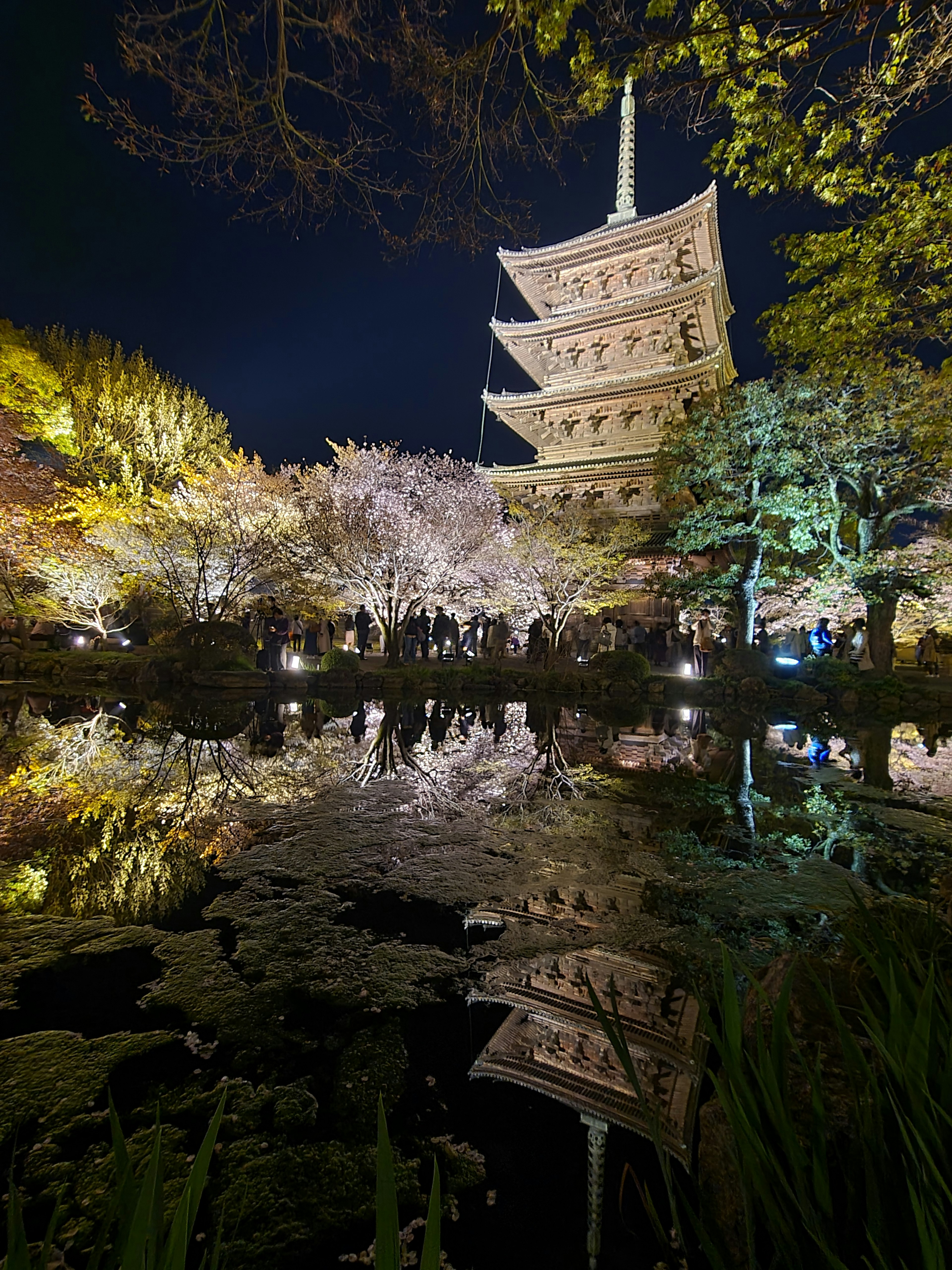 Vista notturna di una pagoda circondata da alberi di ciliegio riflessa in uno stagno