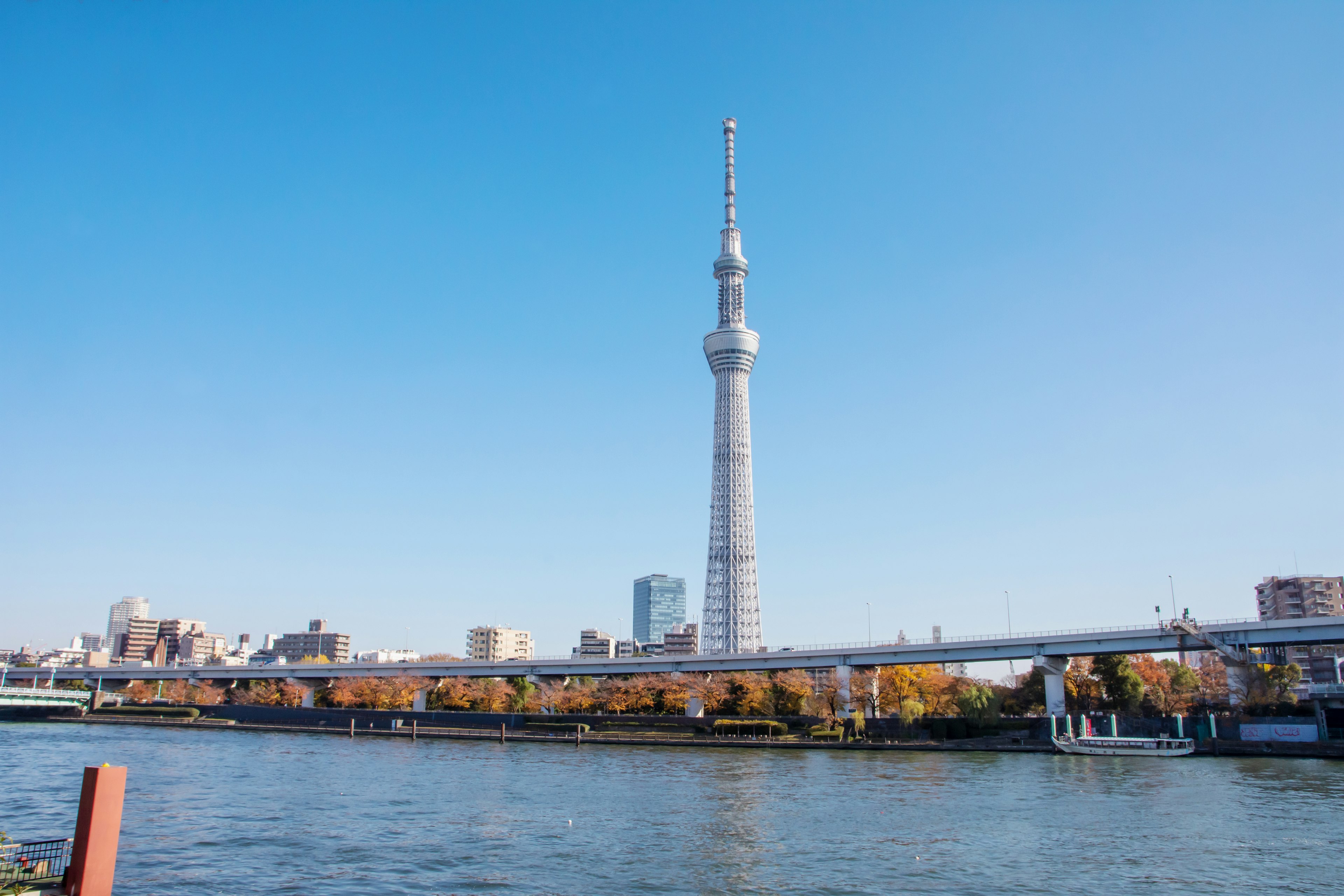 Tokyo Skytree che si erge sotto un cielo blu chiaro