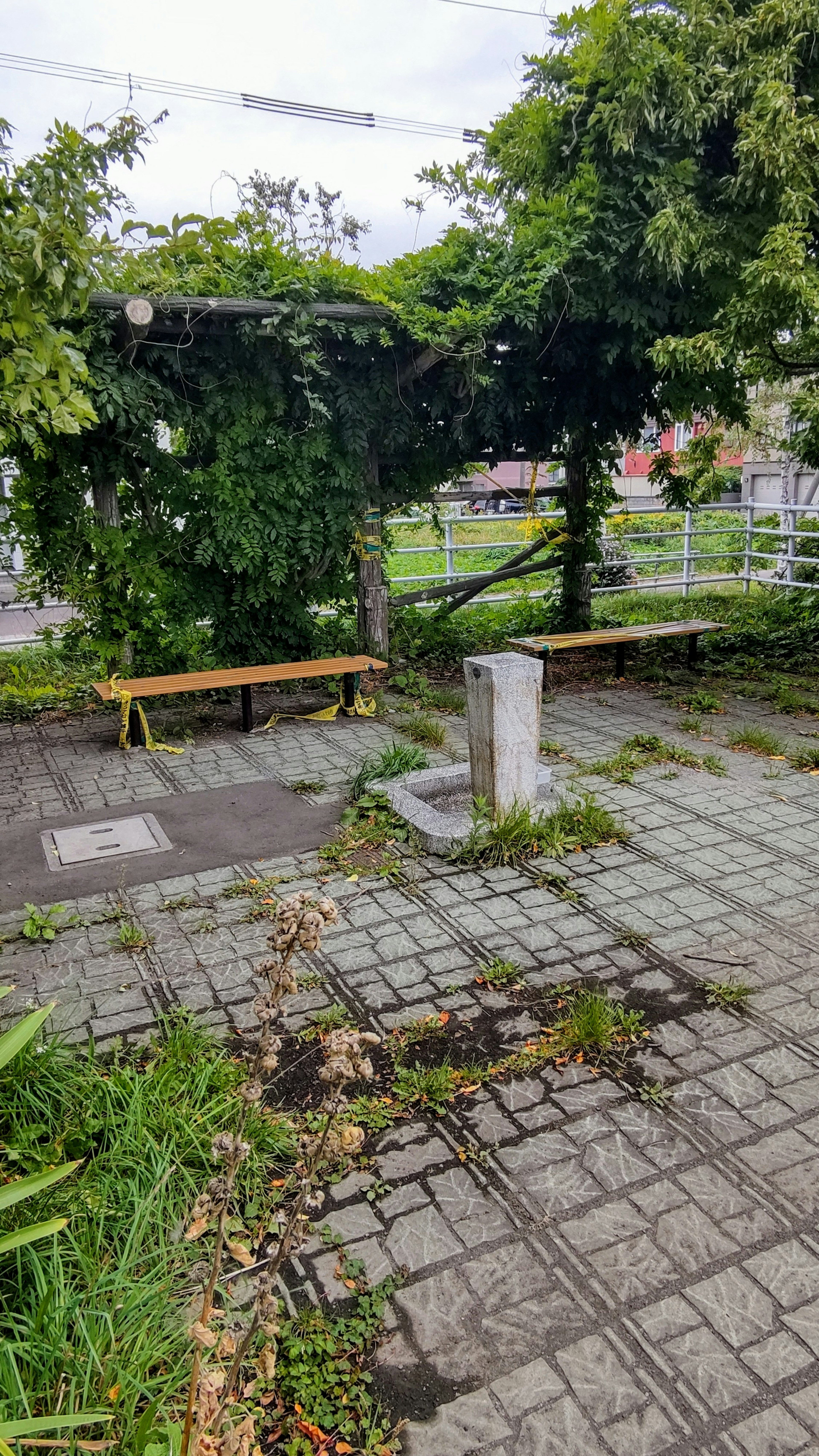 Bancos de madera y una fuente en un área de parque descuidada cubierta de hierba