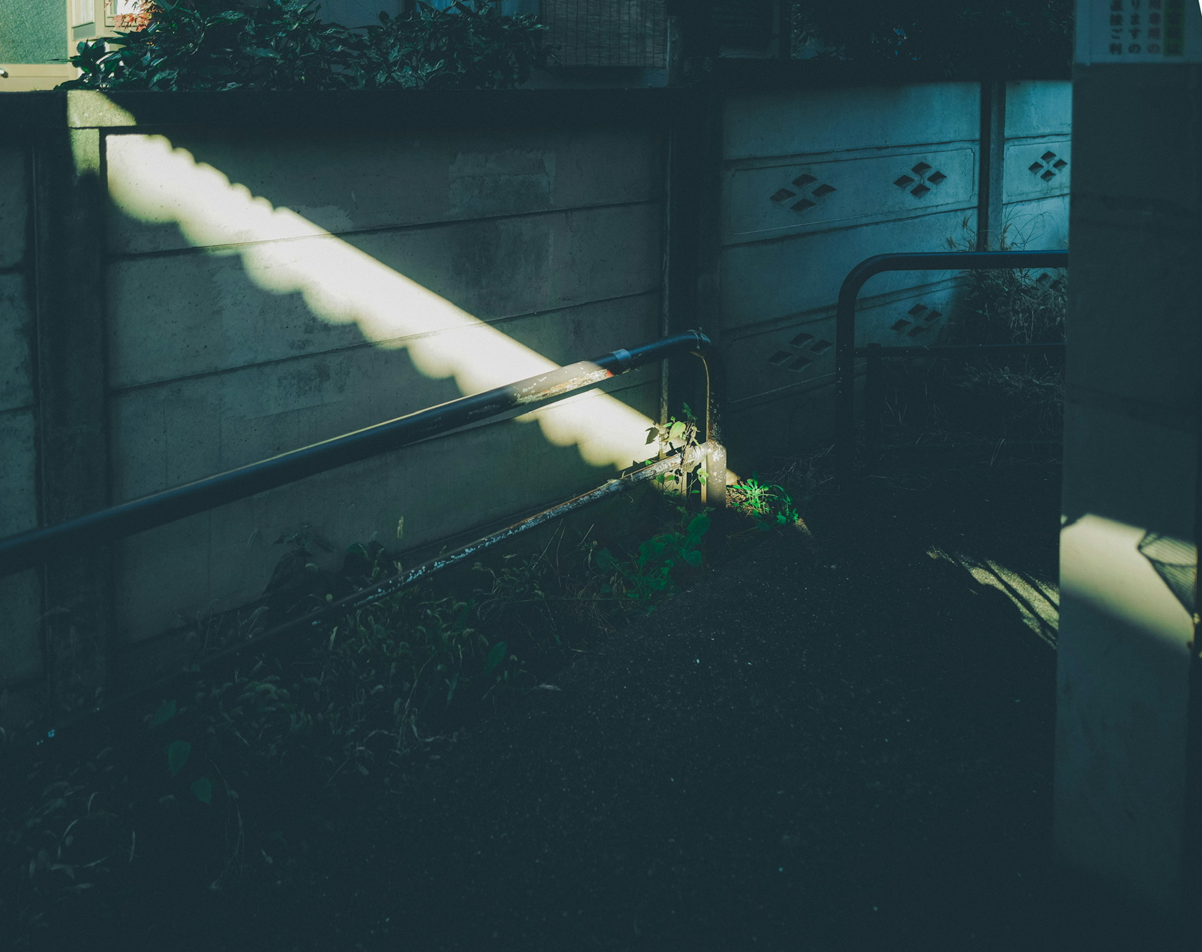 Una parte de un jardín con sombras impactantes proyectadas por la luz sobre una pared y tuberías