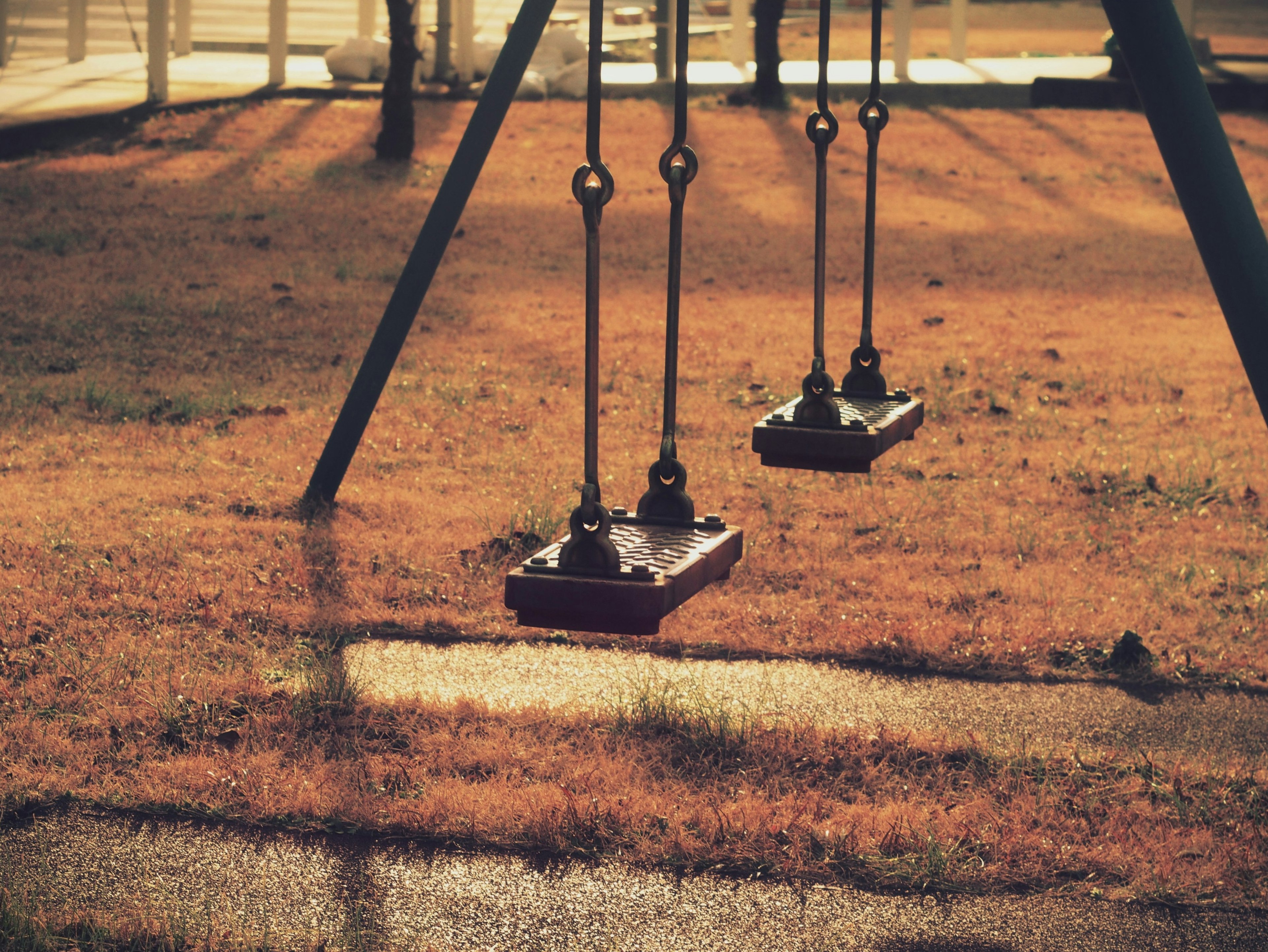 A playground swing set with two swings on grass shadows falling on the ground