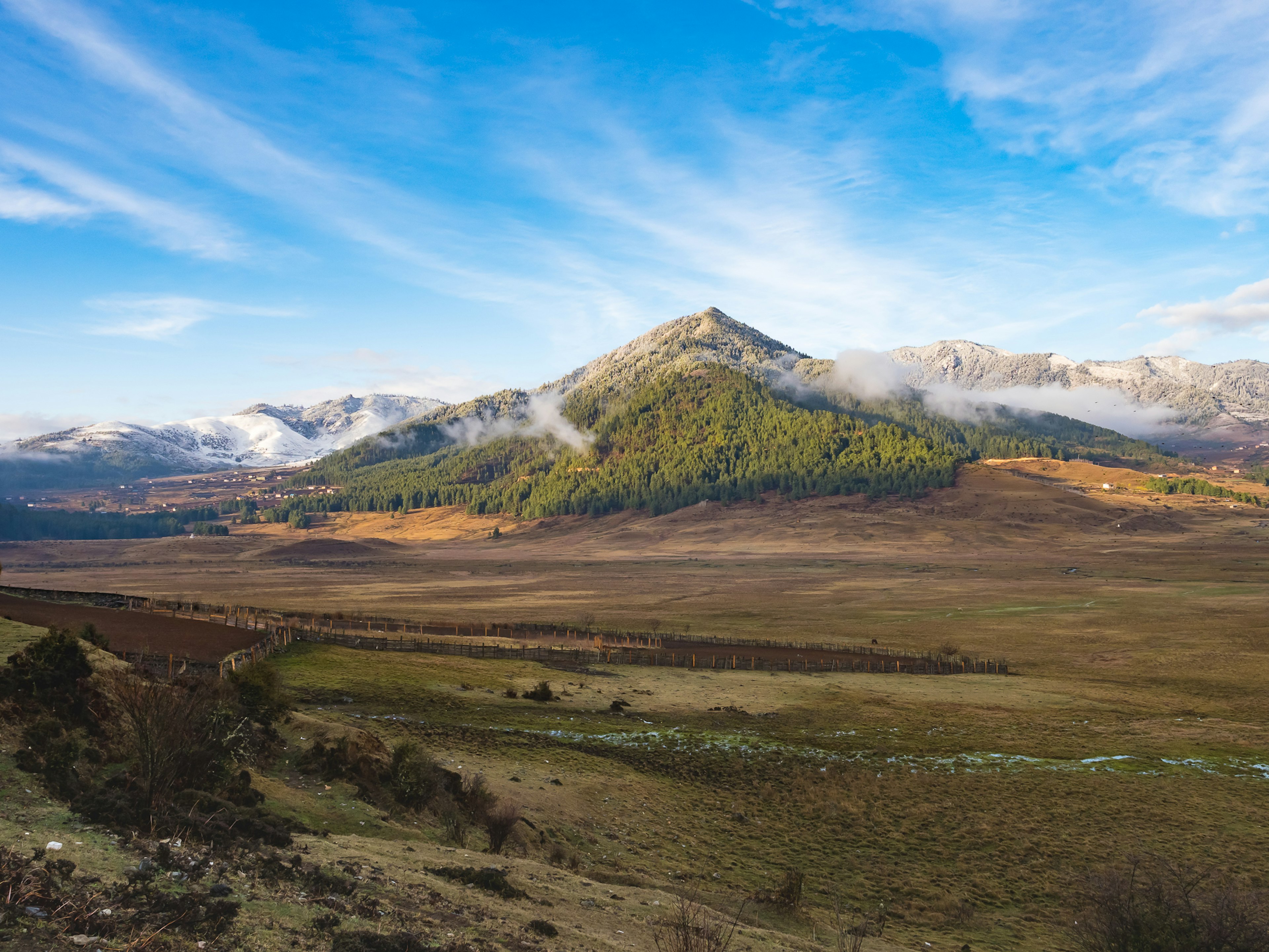 Berglandschaft mit blauem Himmel und Wolken bedeckt von grünen Bäumen und weitem Grasland