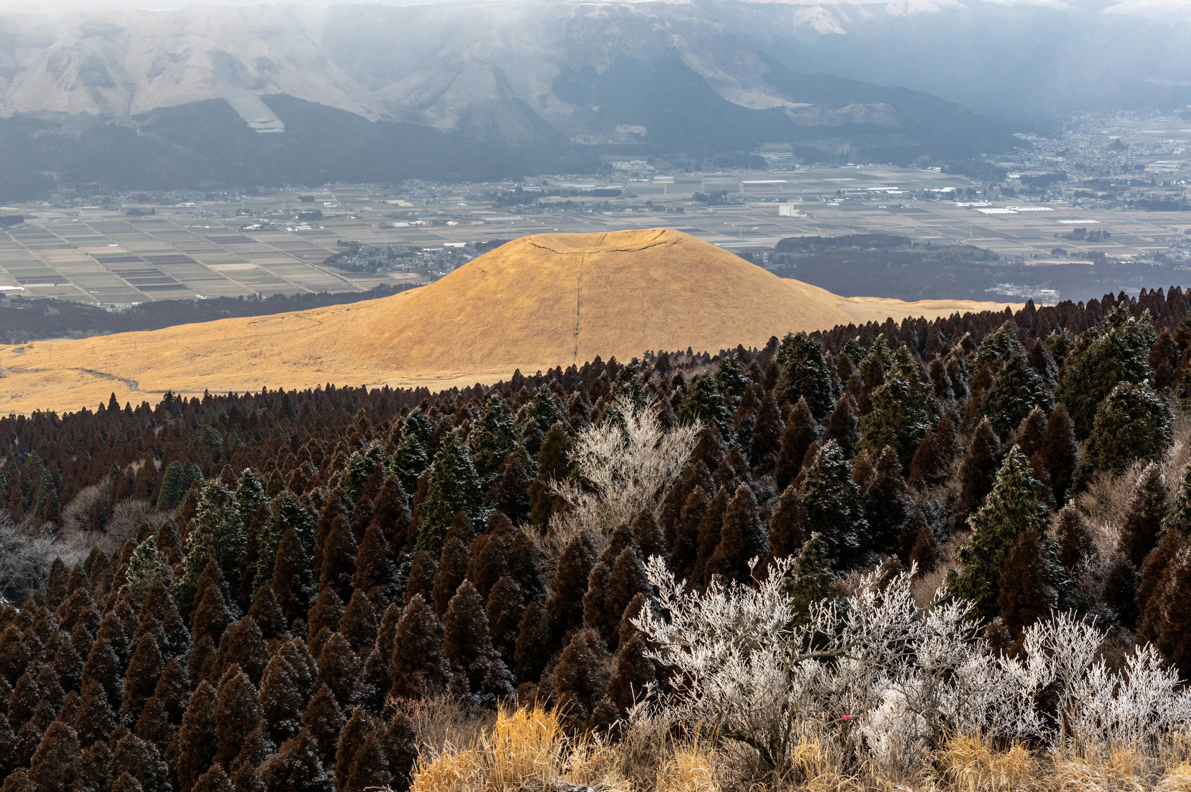 Vue depuis une montagne montrant des arbres verts et une colline dorée