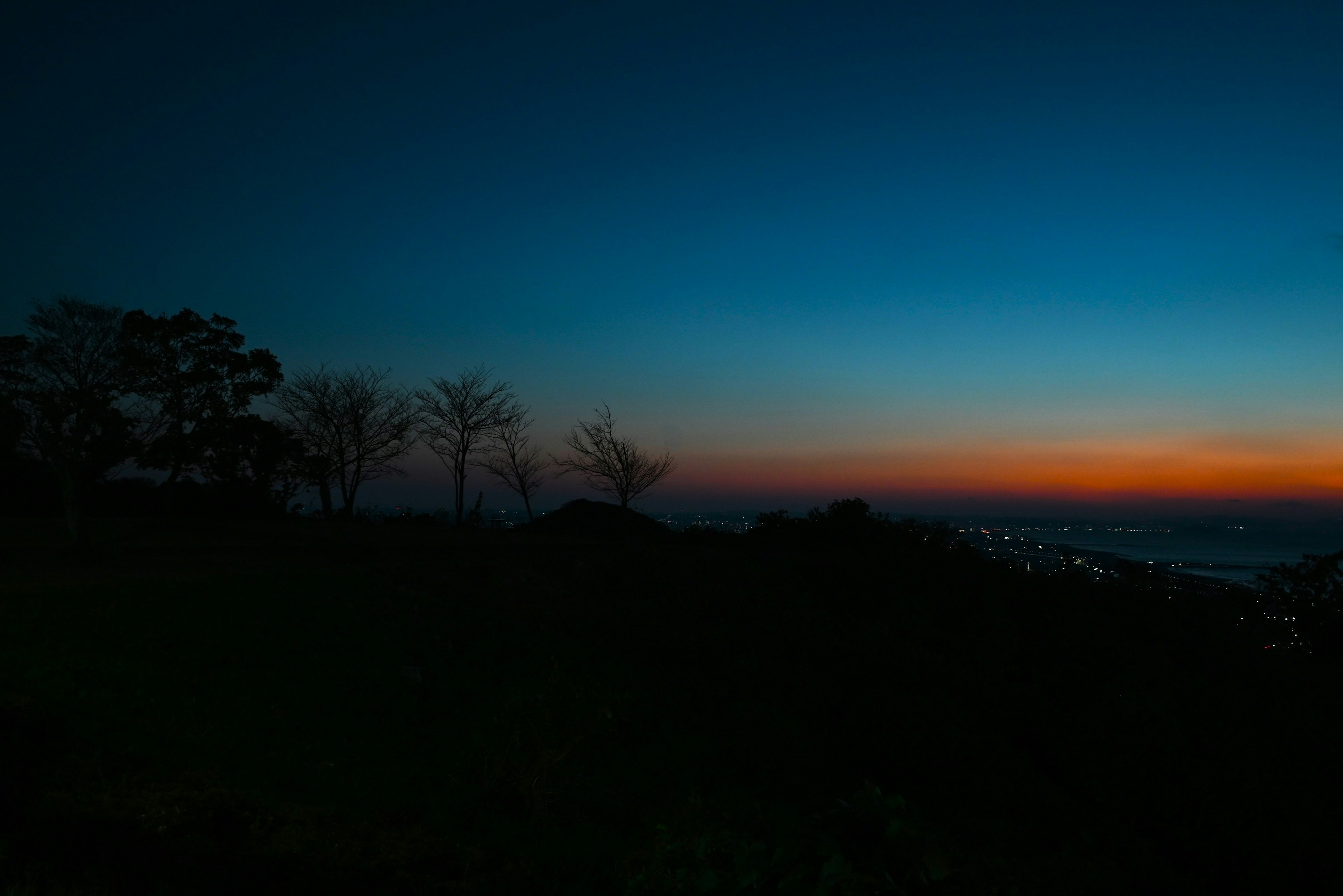 Dämmerungshimmel mit silhouettierten Bäumen und fernen Lichtern