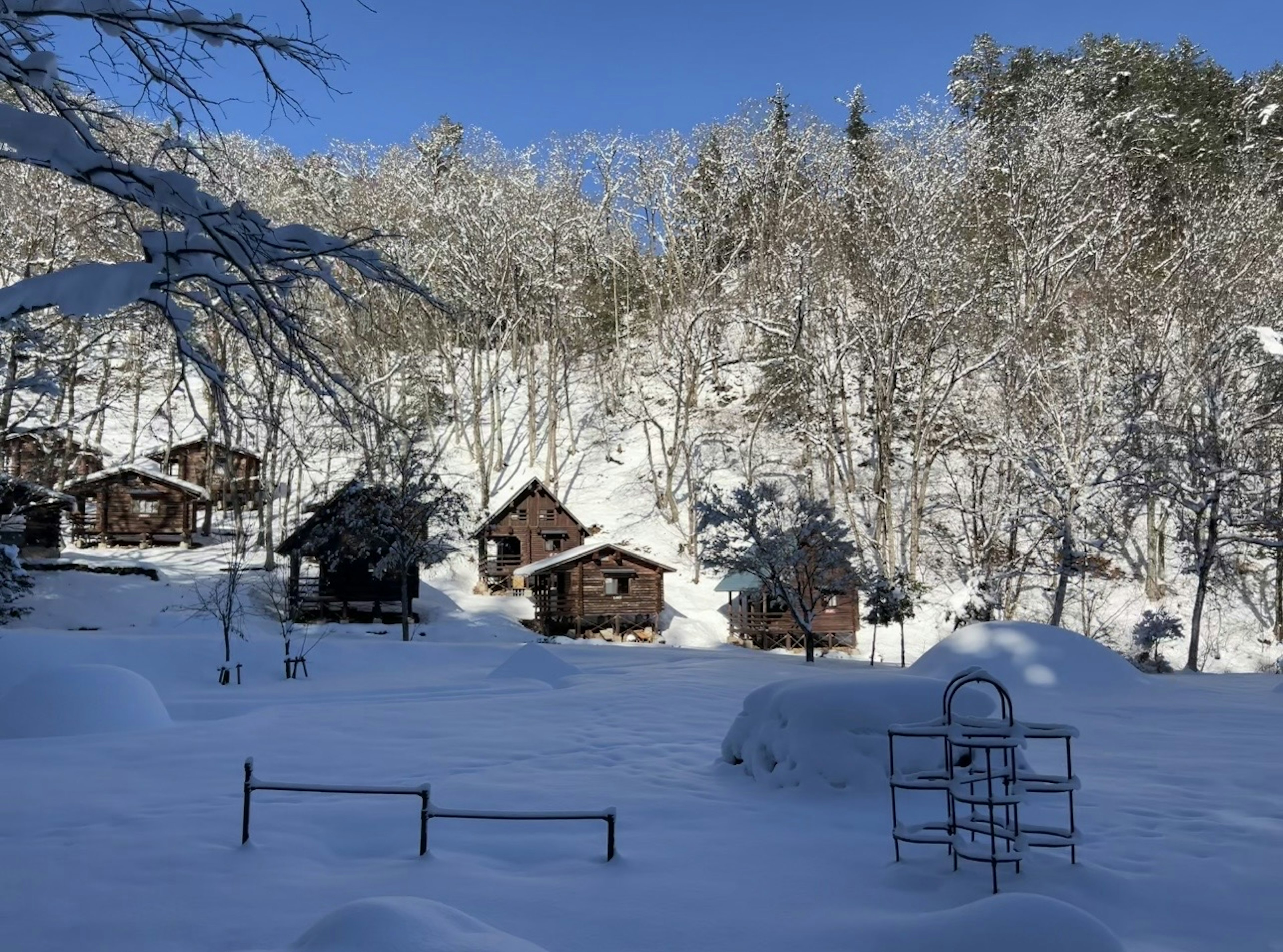 Snow-covered cabins nestled among trees