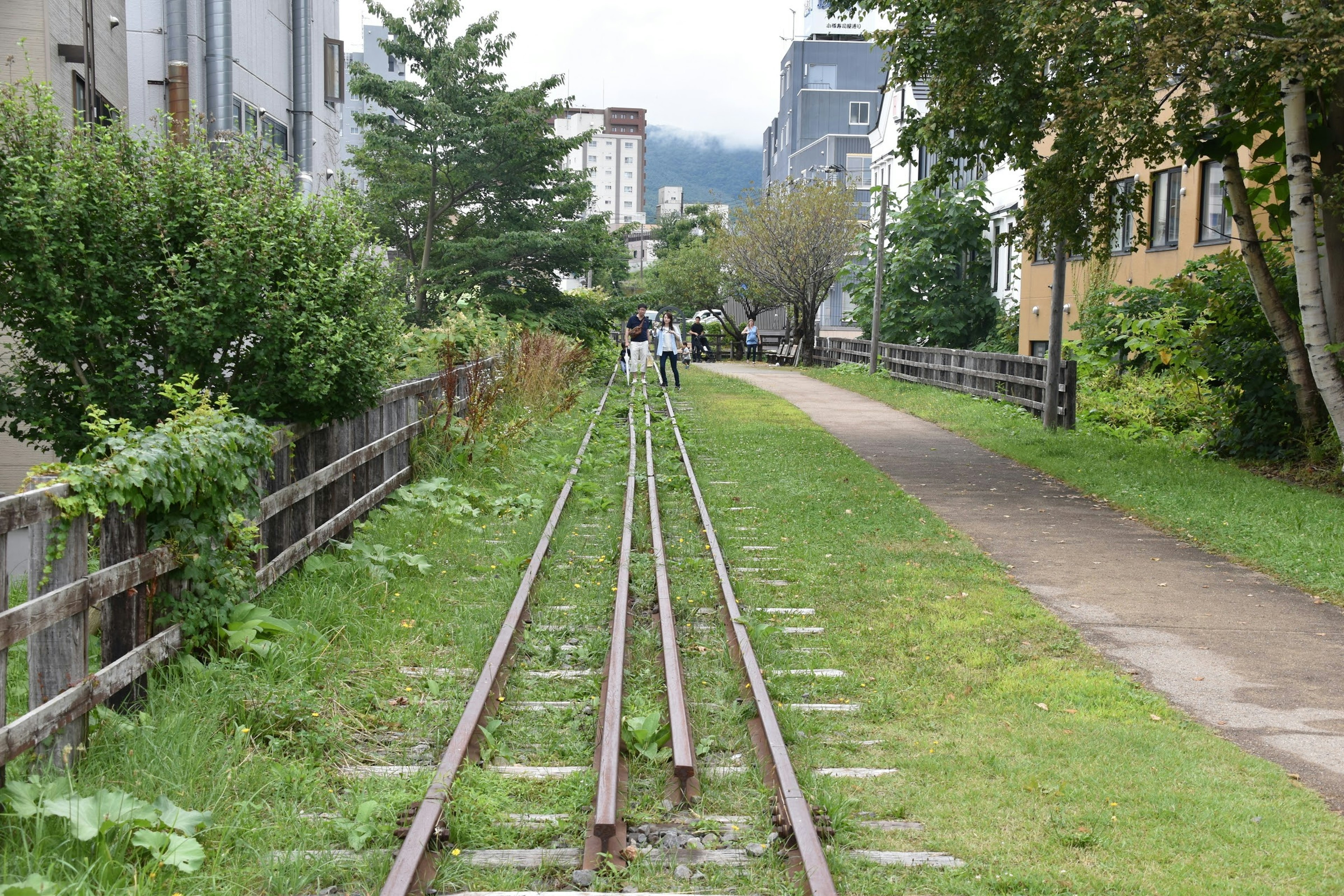 Vías de tren junto a un césped verde y edificios circundantes