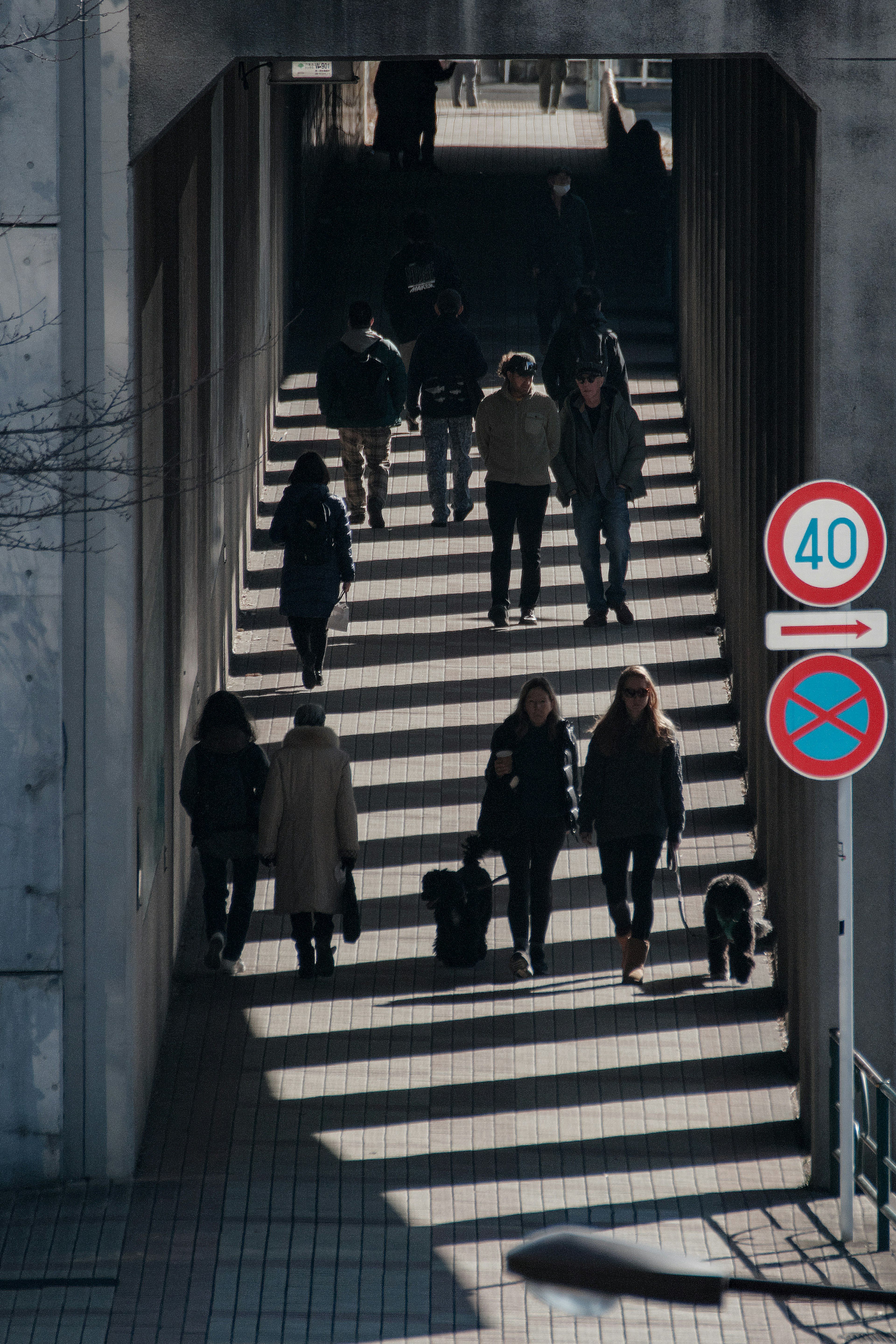 People walking down a staircase with shadows creating patterns on the ground