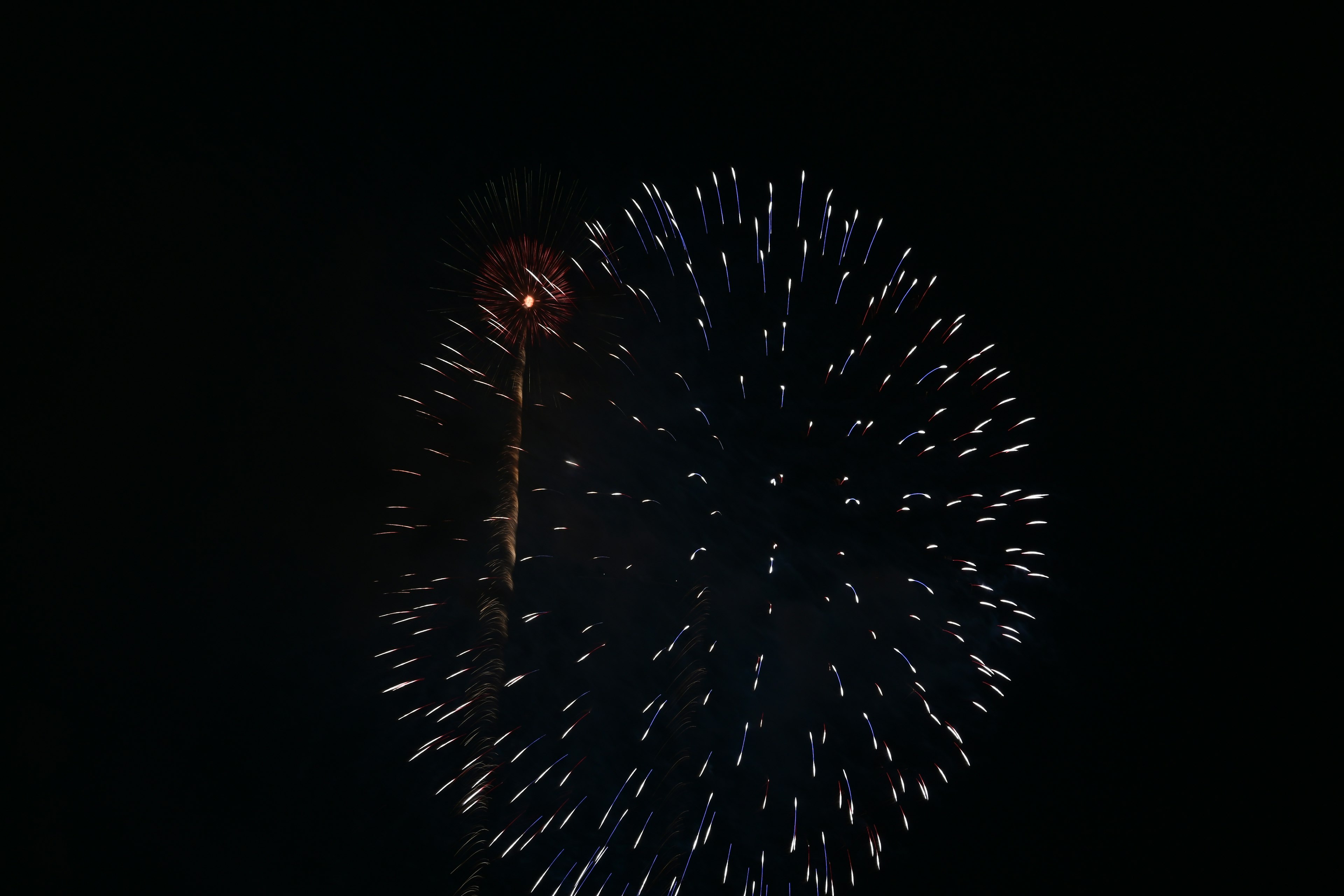 Fuegos artificiales estallando en un cielo oscuro con chispas rojas y puntos de luz blanca