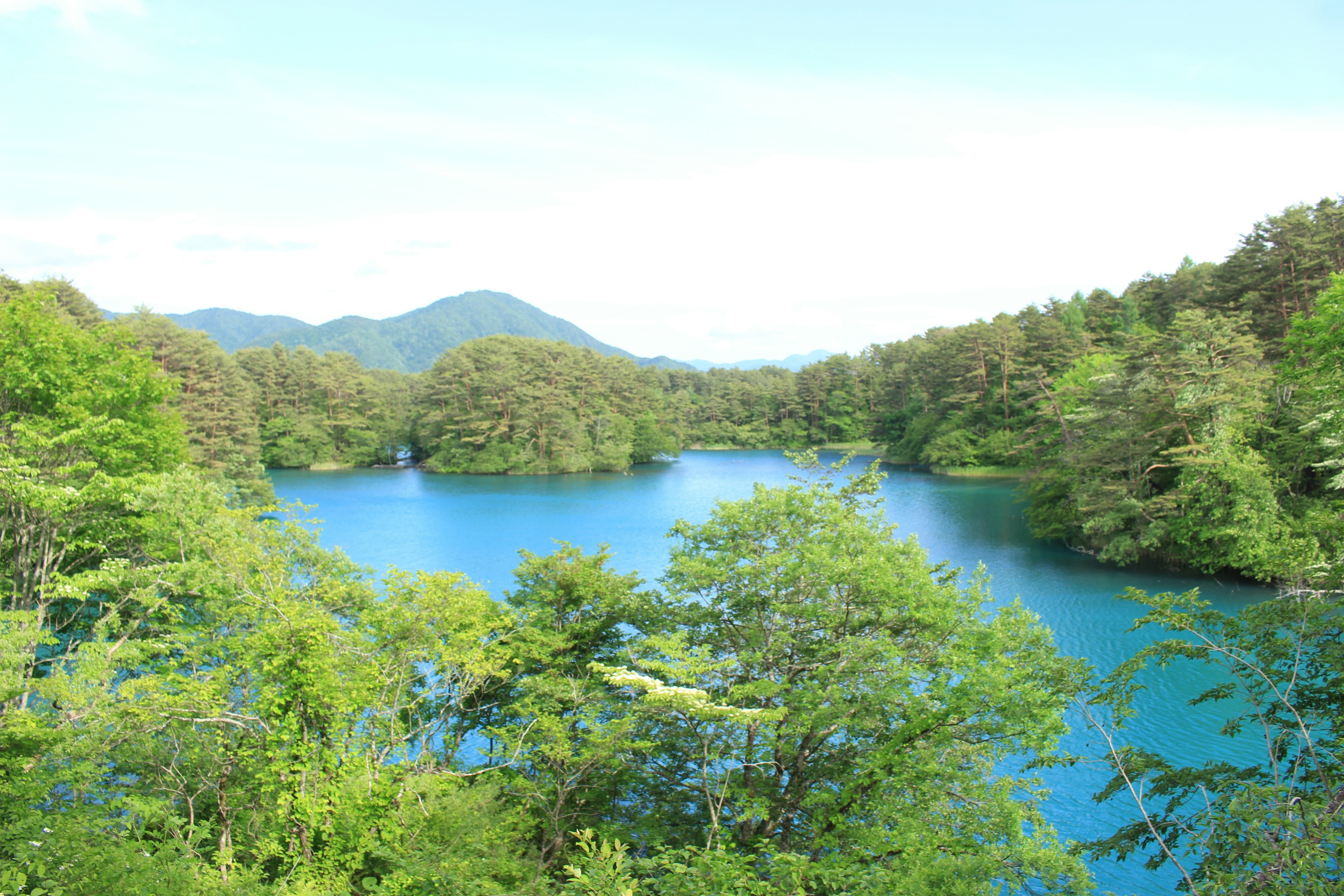 青い湖と緑豊かな木々の風景