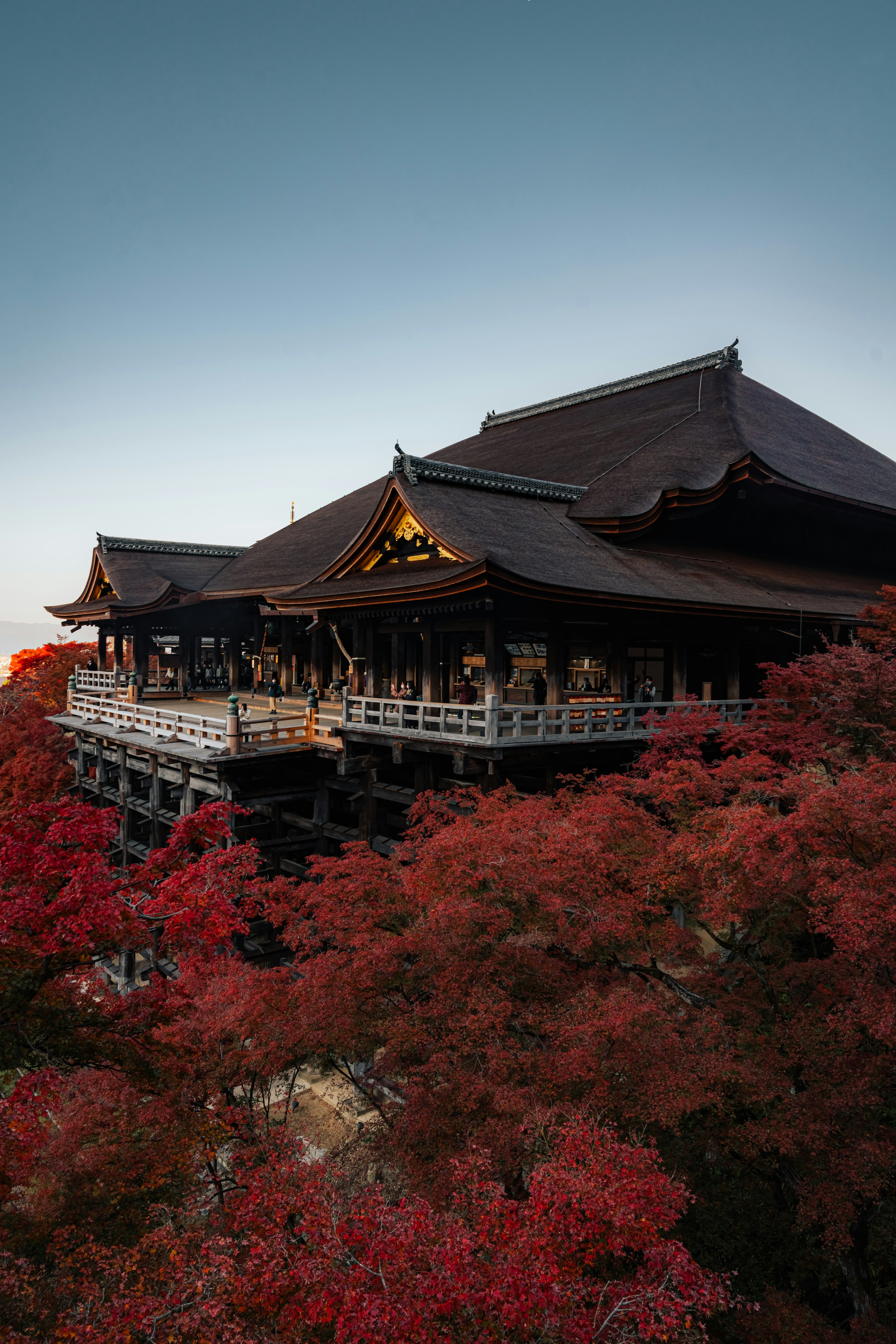 Pemandangan Kuil Kiyomizu-dera di Kyoto dikelilingi oleh dedaunan musim gugur yang cerah