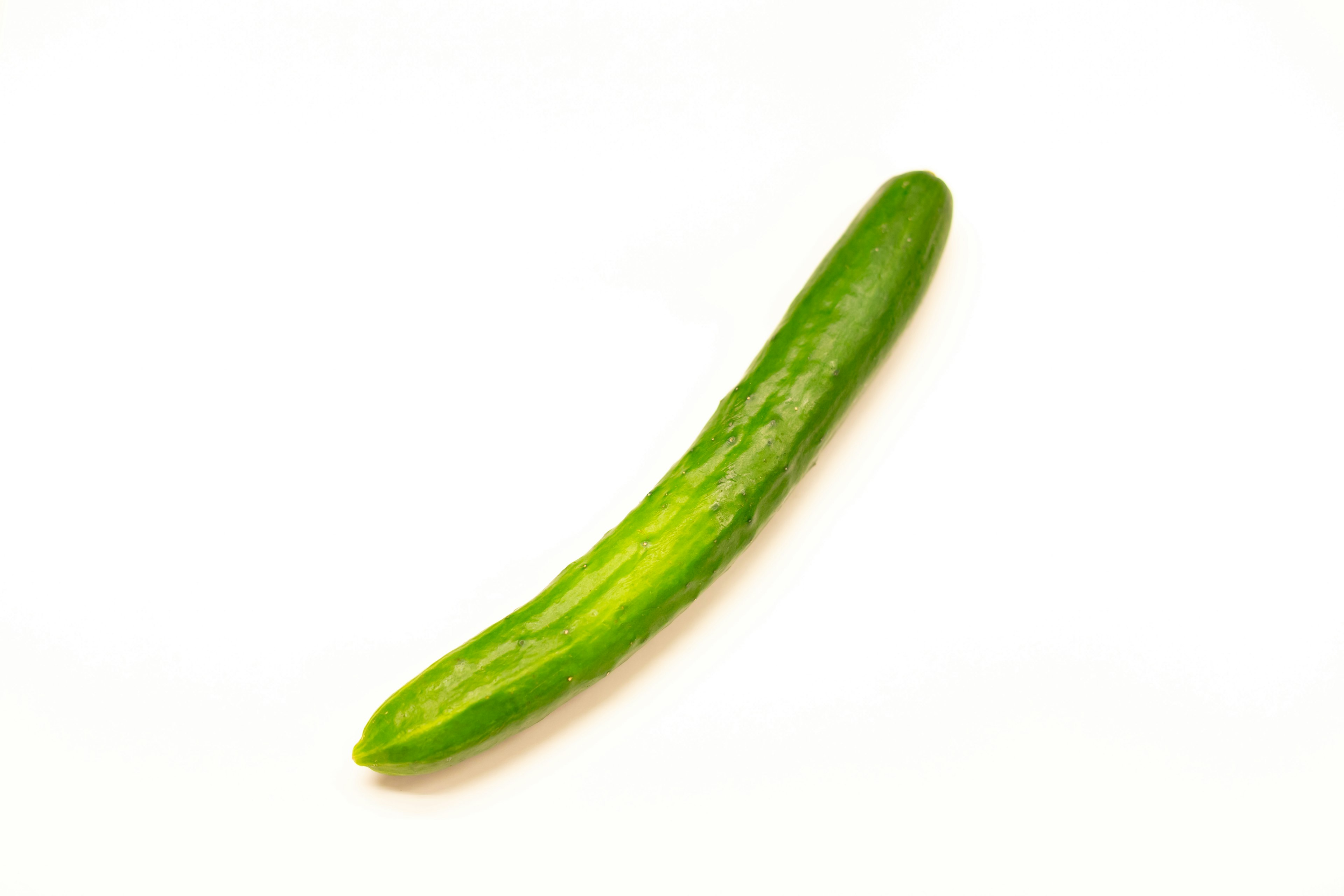 A green cucumber placed on a white background