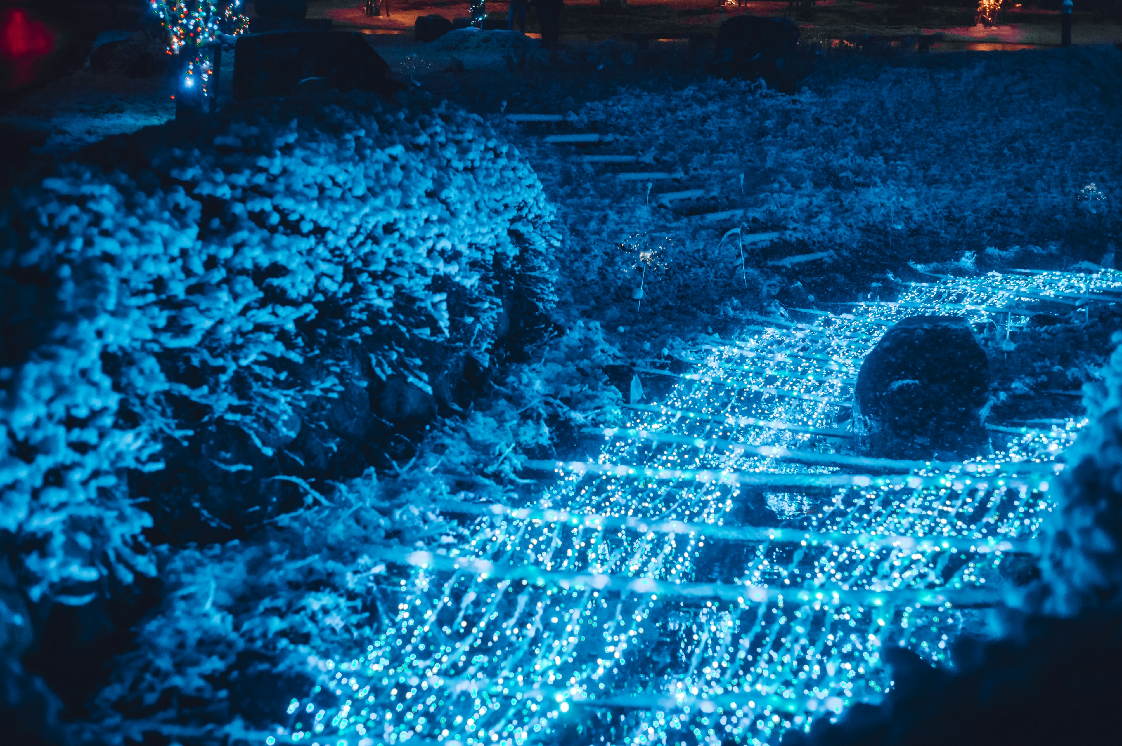 Ein Gartenweg, beleuchtet von blauen Lichtern mit üppigem Grün