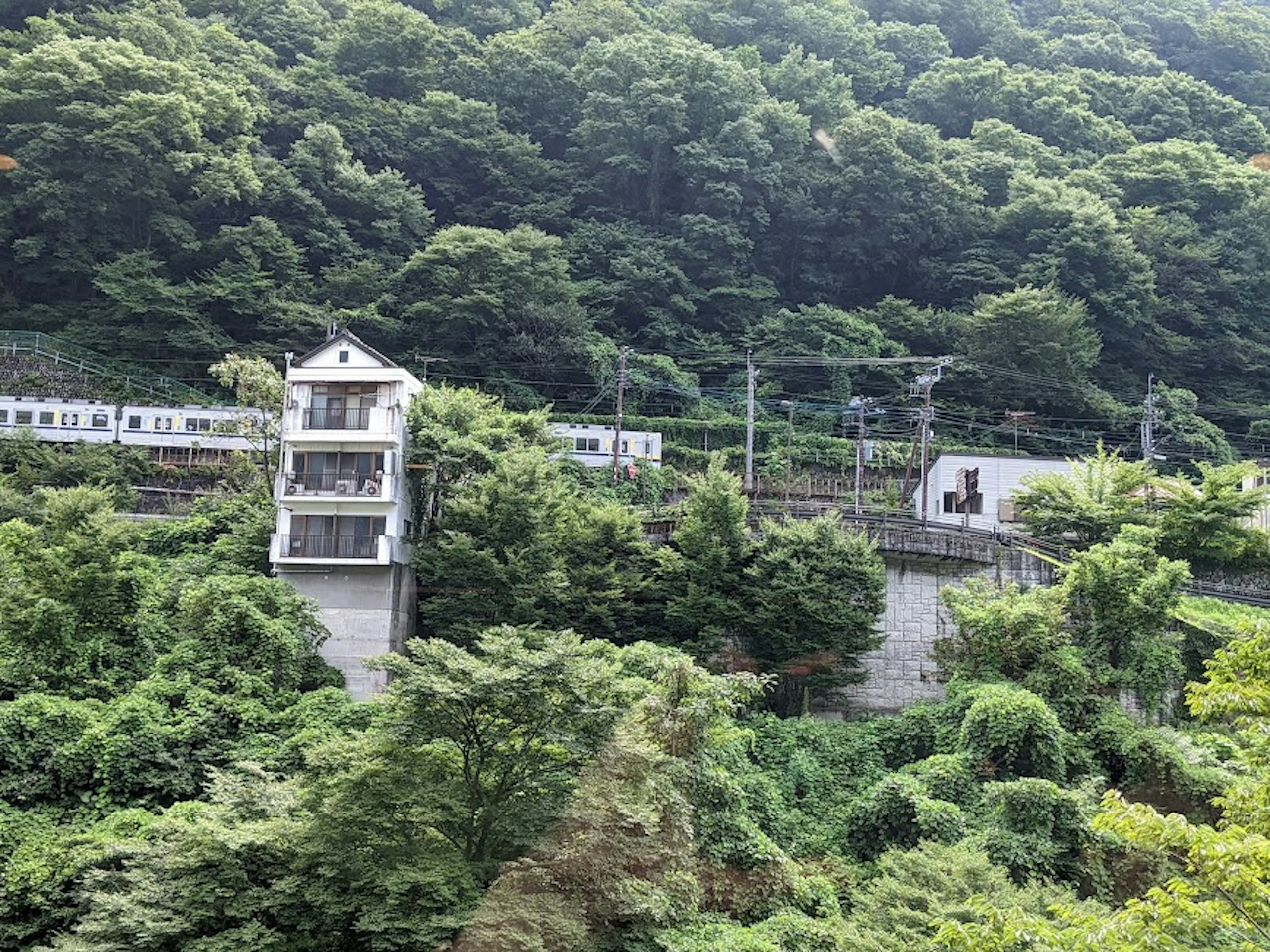 울창한 녹지로 둘러싸인 집과 기차 선로가 있는 언덕의 풍경