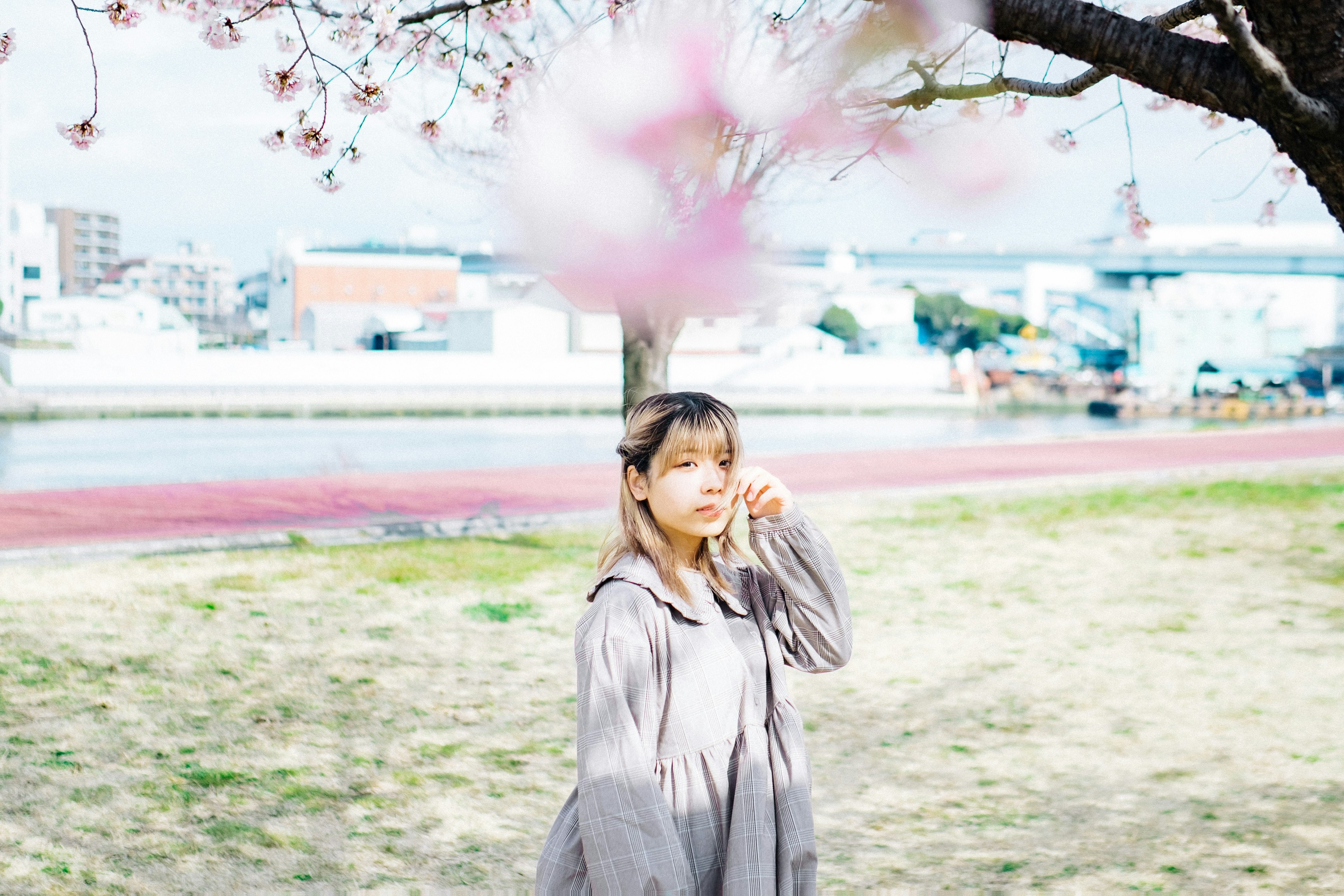 桜の木の下に立つ女性が春の風に揺れる花びらを見つめる