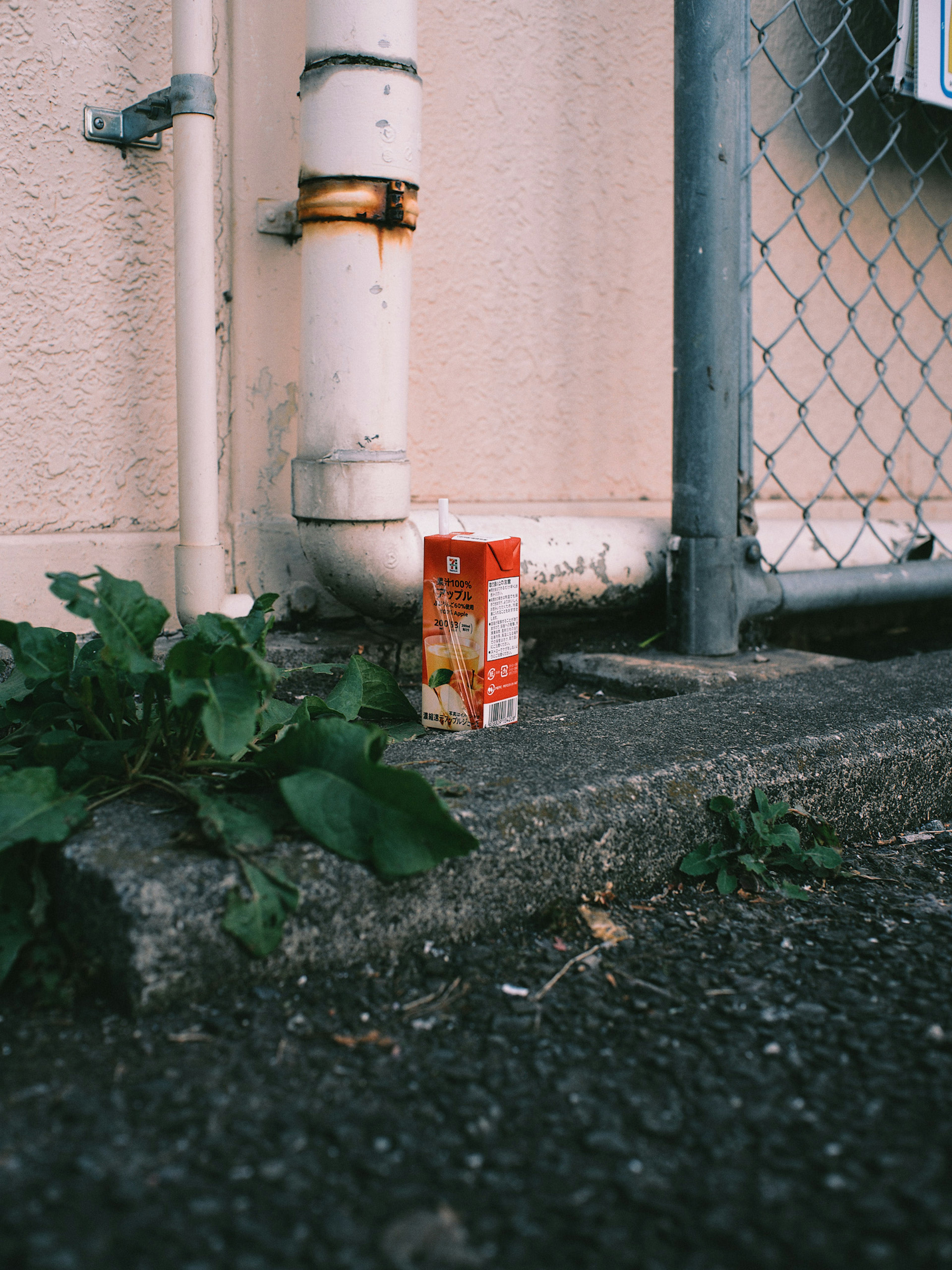 A red beverage carton placed on concrete with surrounding green plants