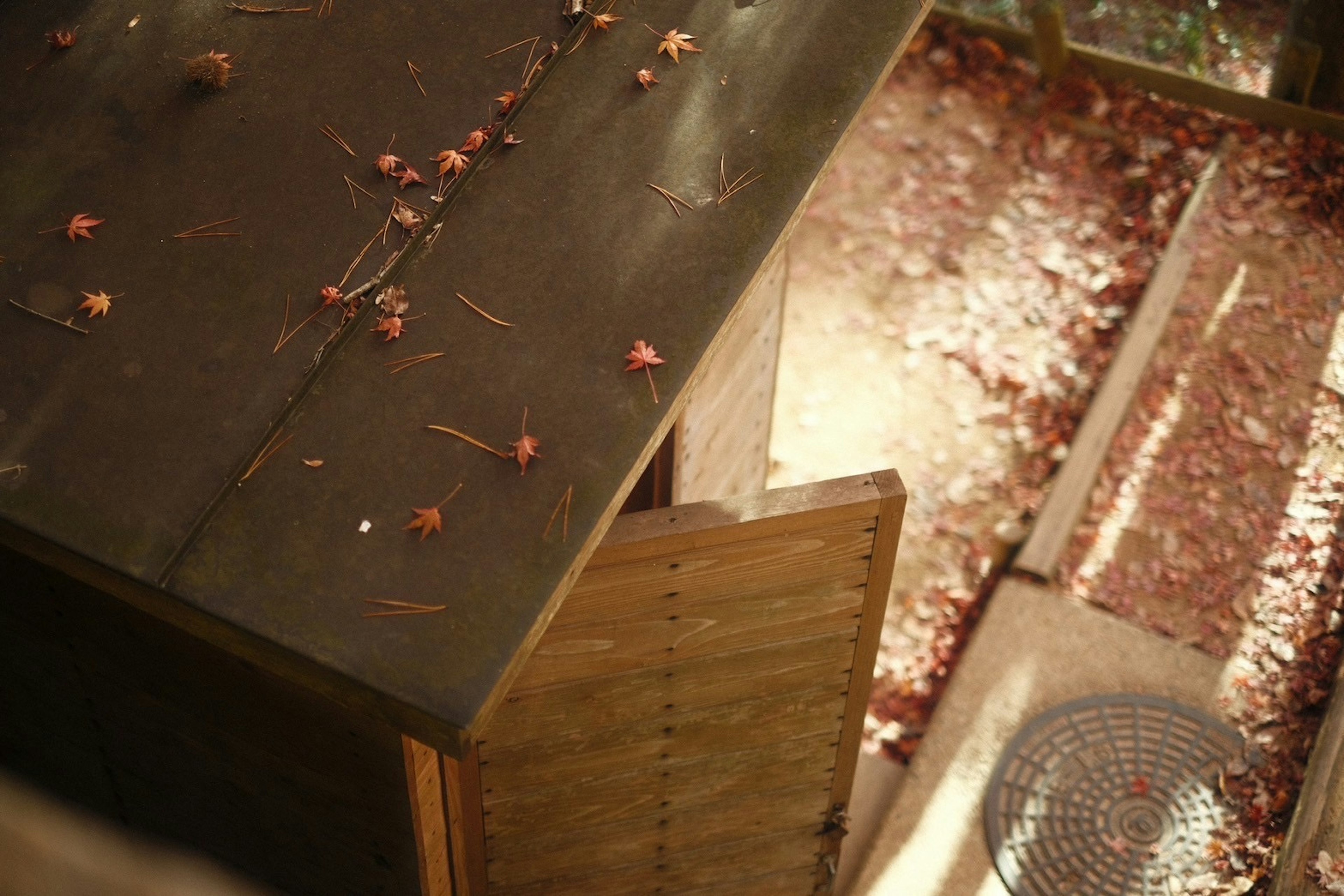 Tetto di un capanno di legno cosparso di foglie cadute