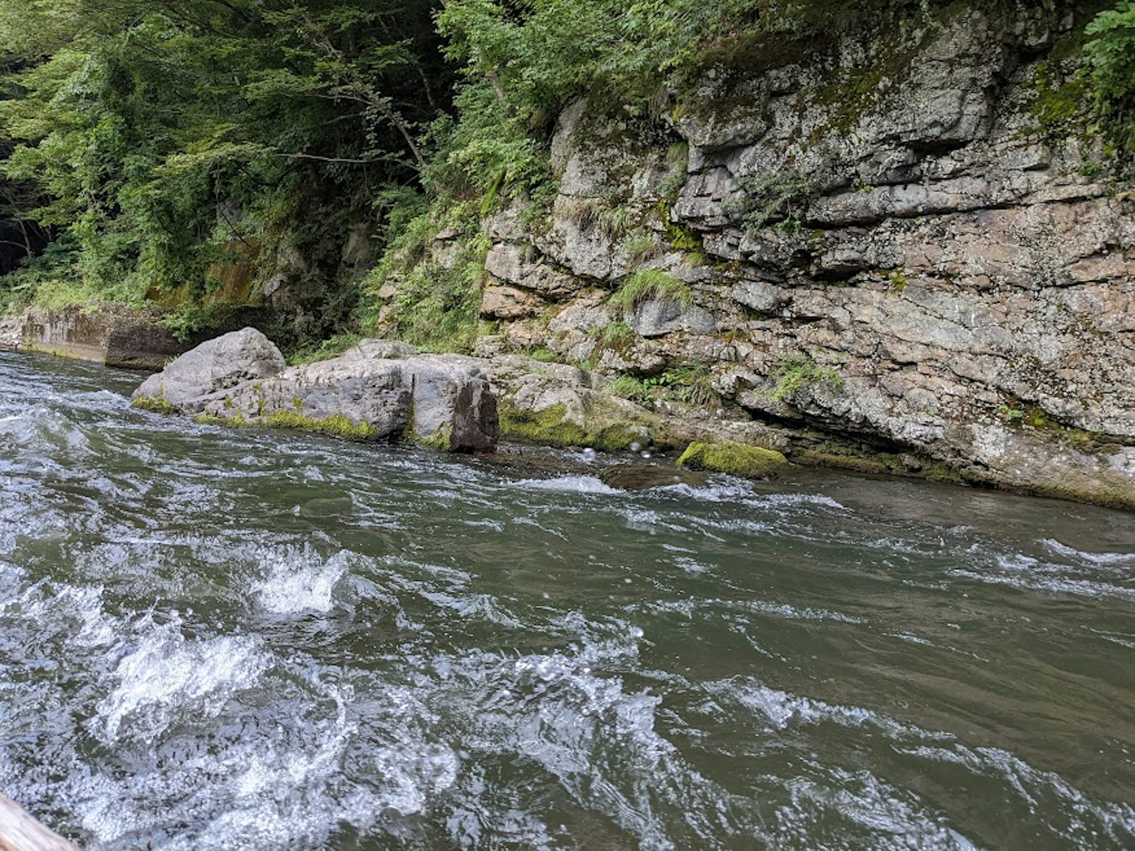 Eine malerische Ansicht eines Flusses, der an felsigen Klippen vorbei fließt, umgeben von Grün