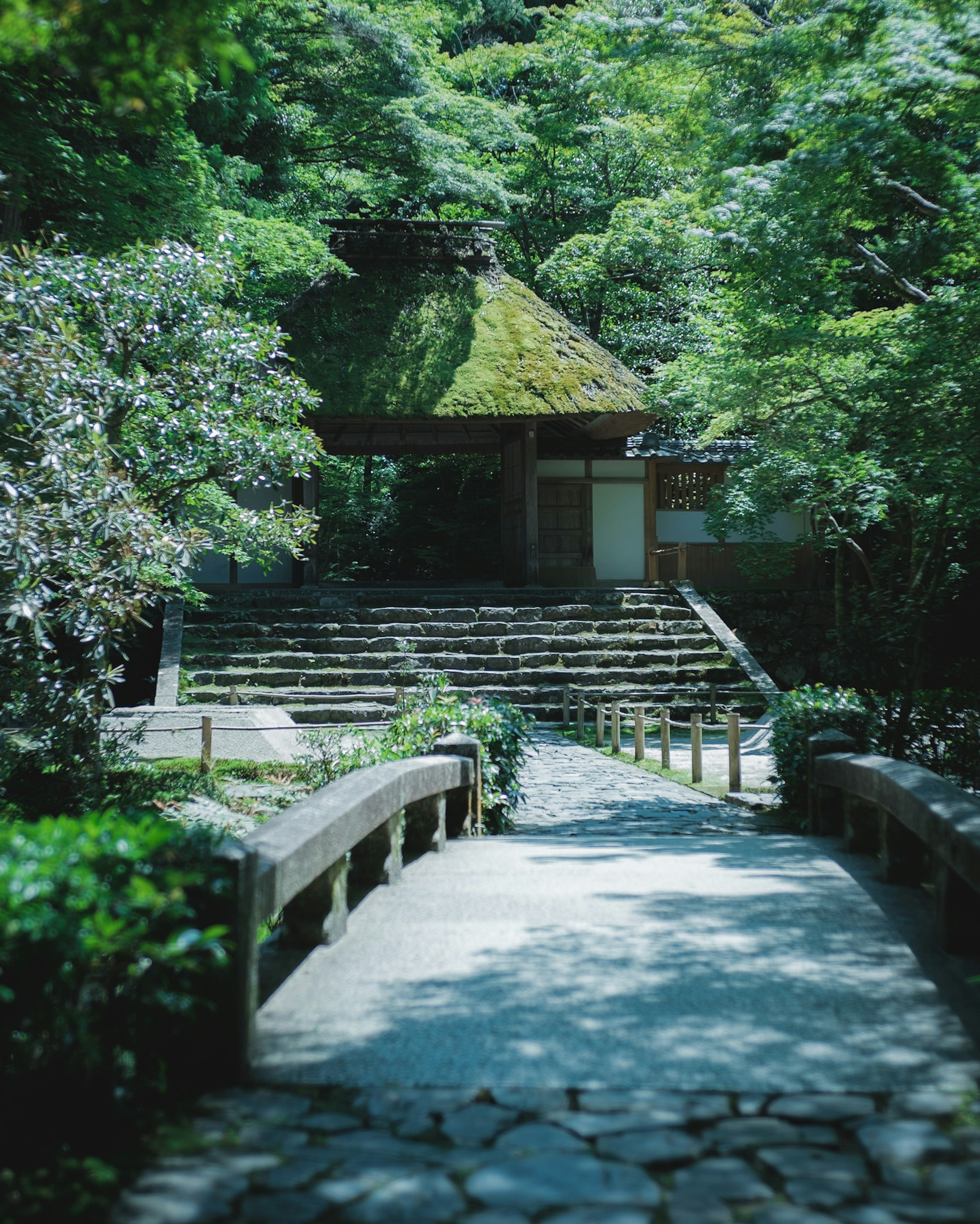 被绿树环绕的古老寺庙的风景 石头小路和桥通向入口