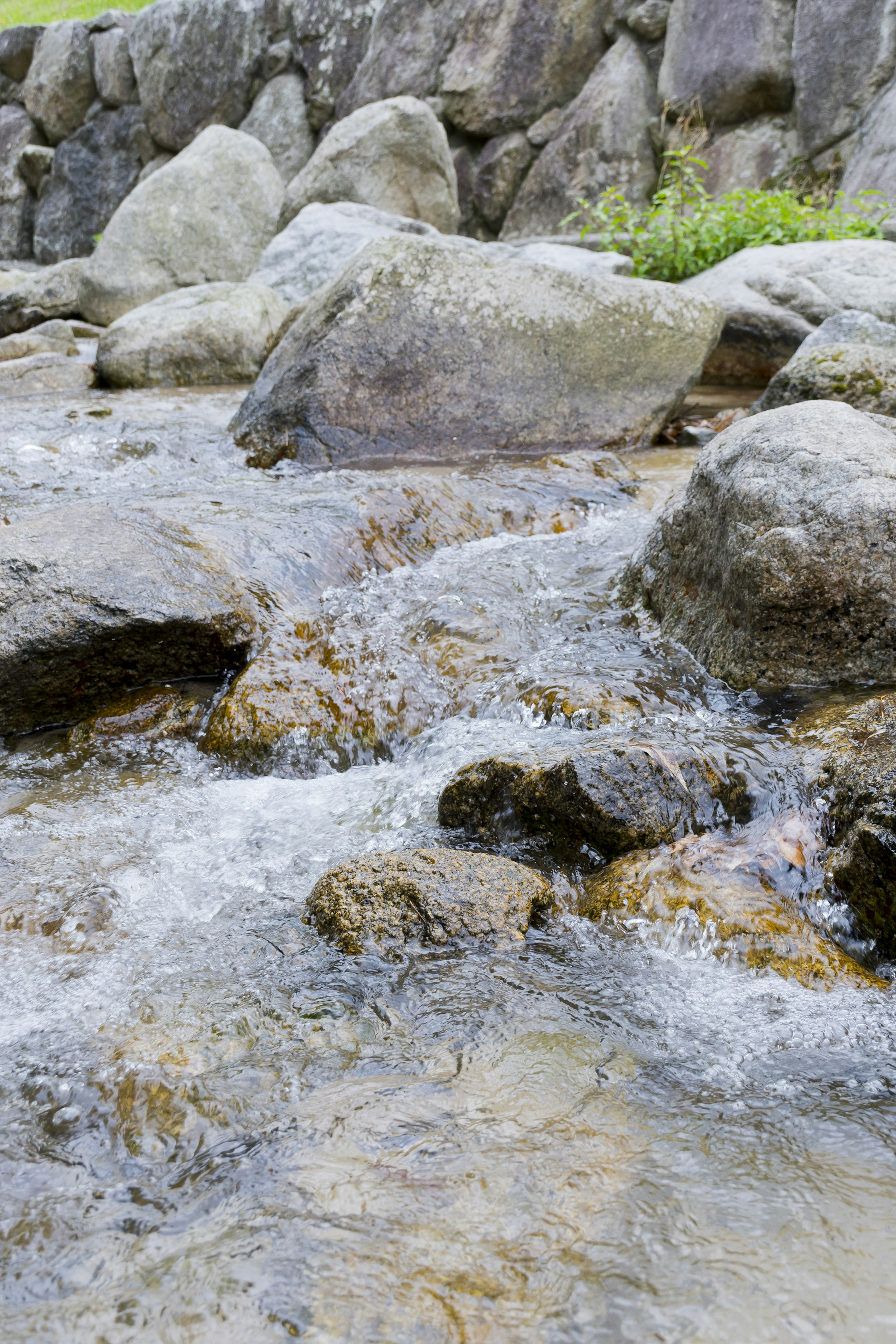 Stream flowing over rocks with greenery