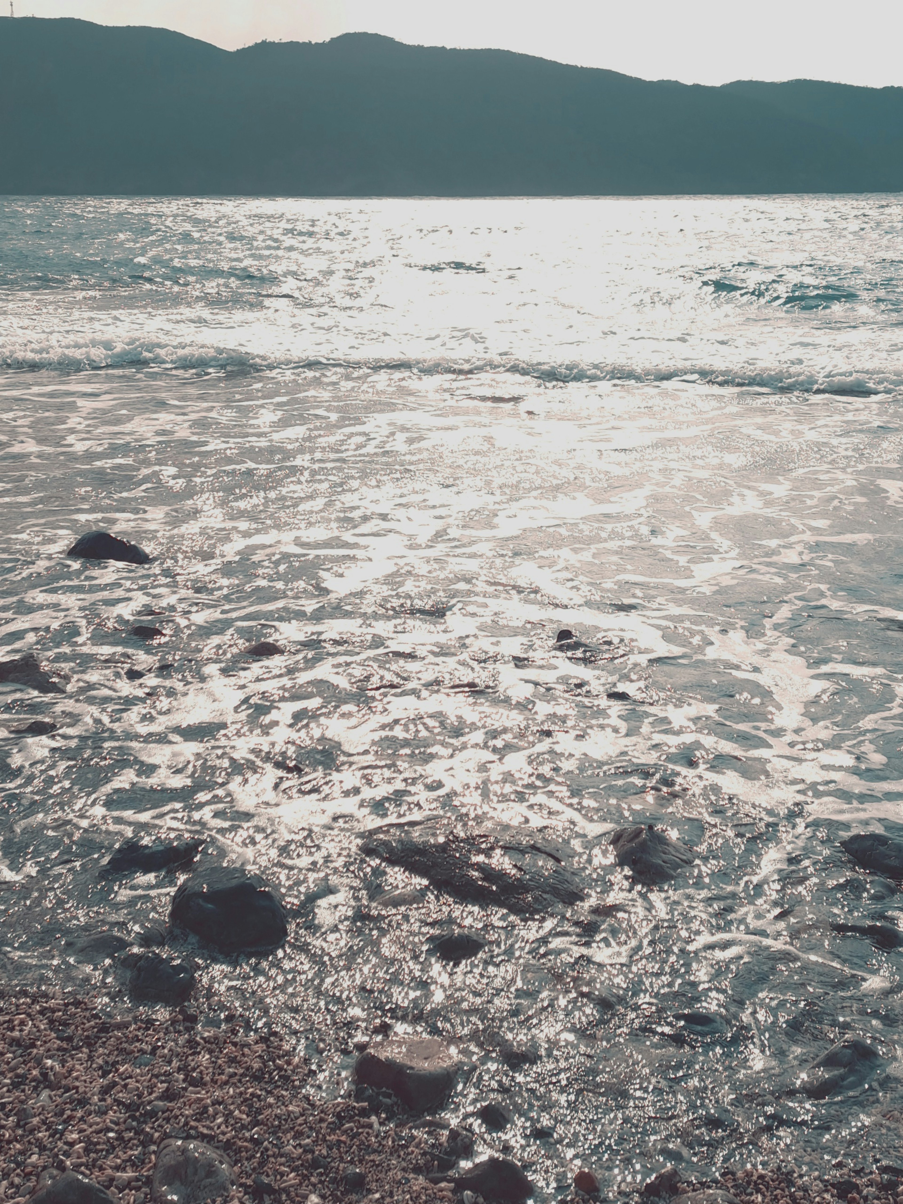 Escena de playa serena que muestra el agua brillante y las suaves olas