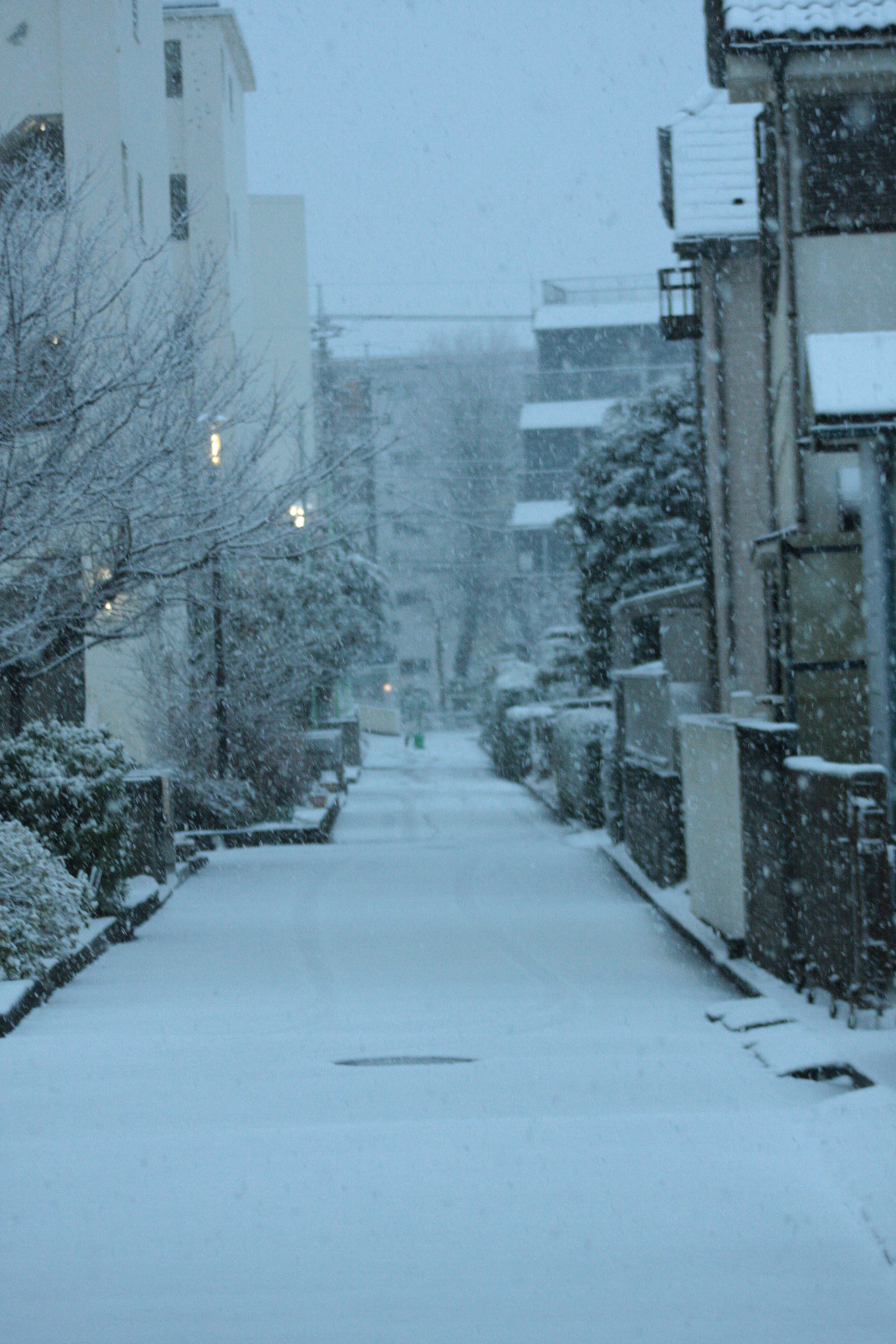 Quiet street covered in snow with soft lighting