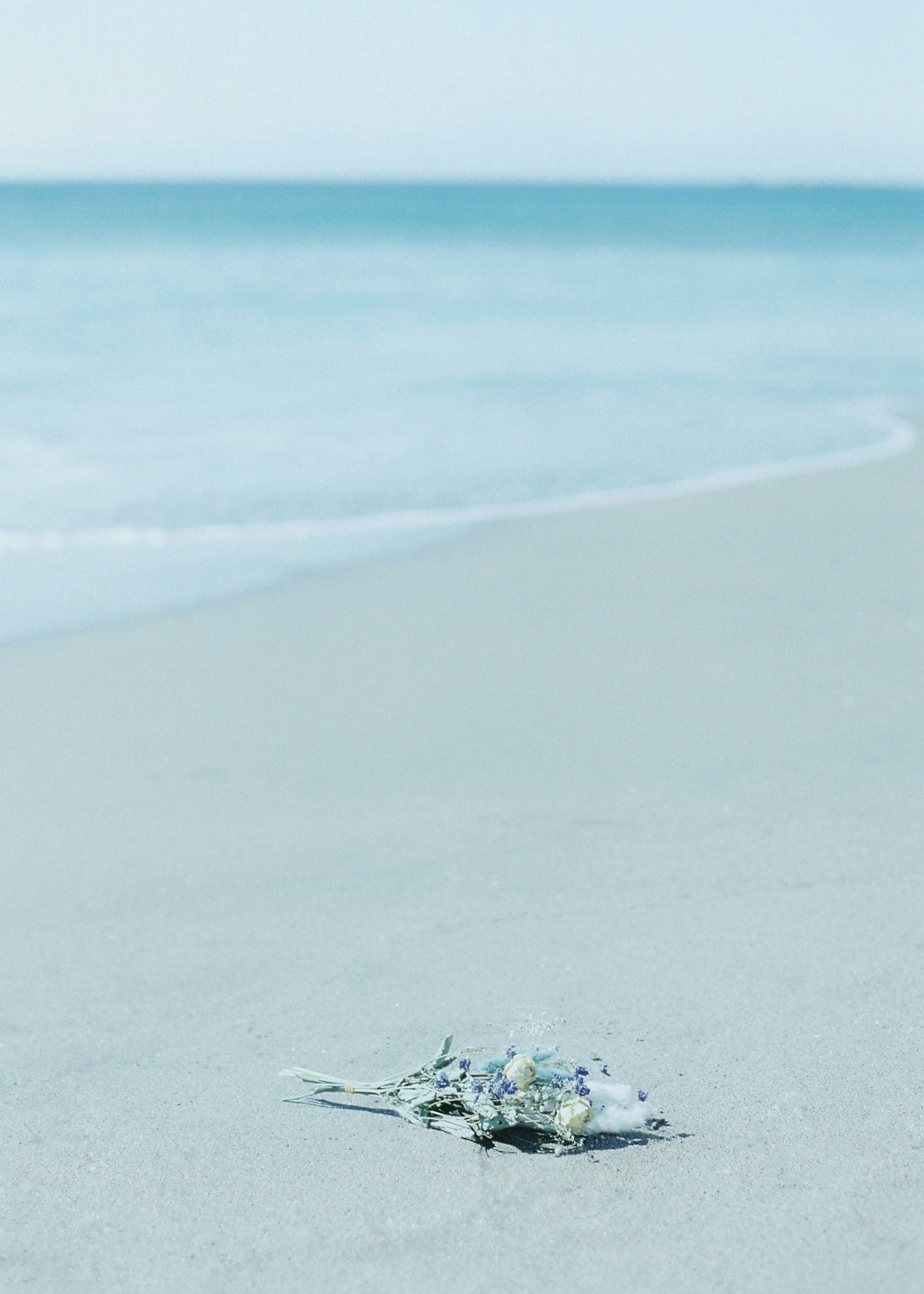 Gros plan de coquillages sur une plage de sable avec un océan bleu