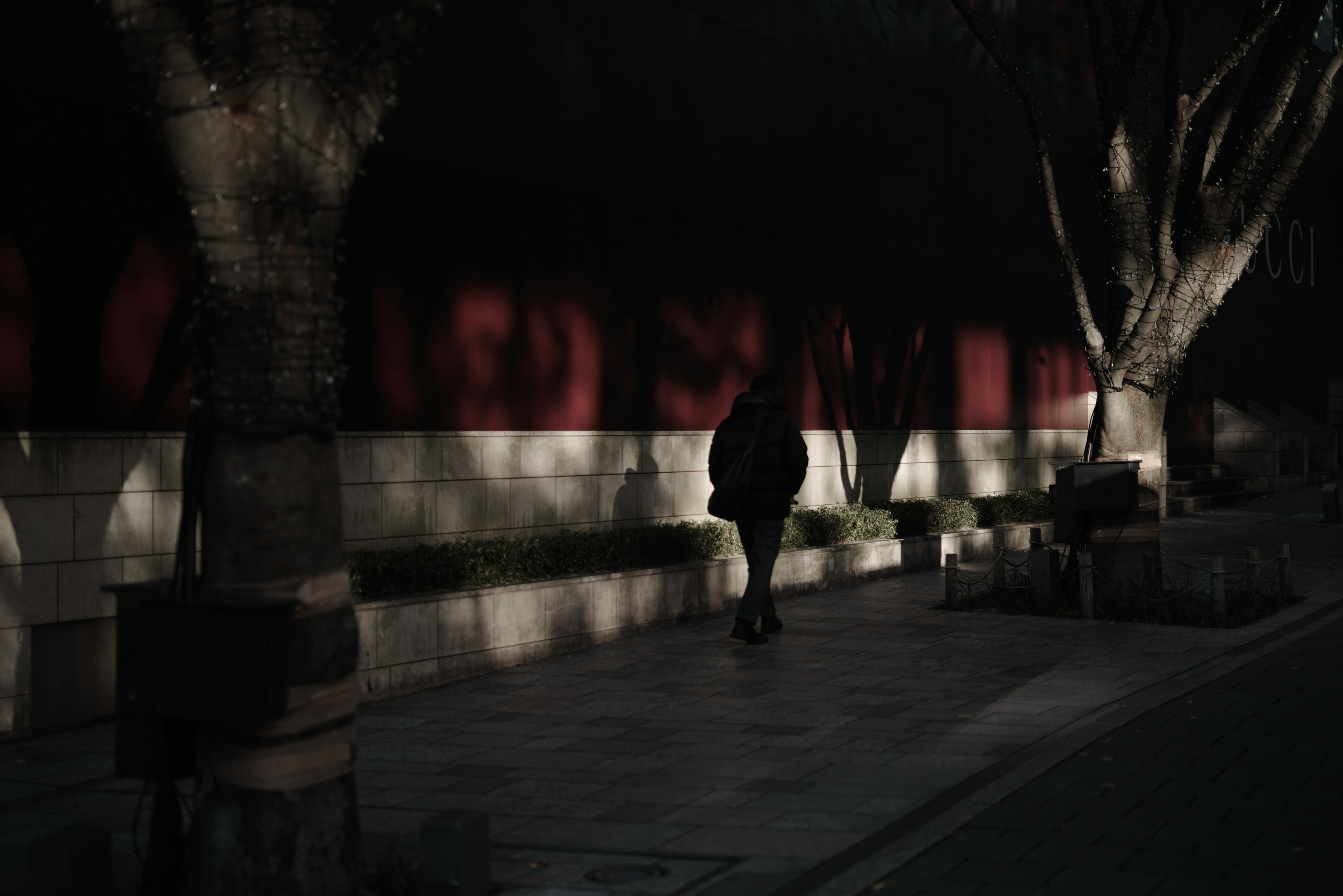 A person walking on a dark street with shadowy scenery