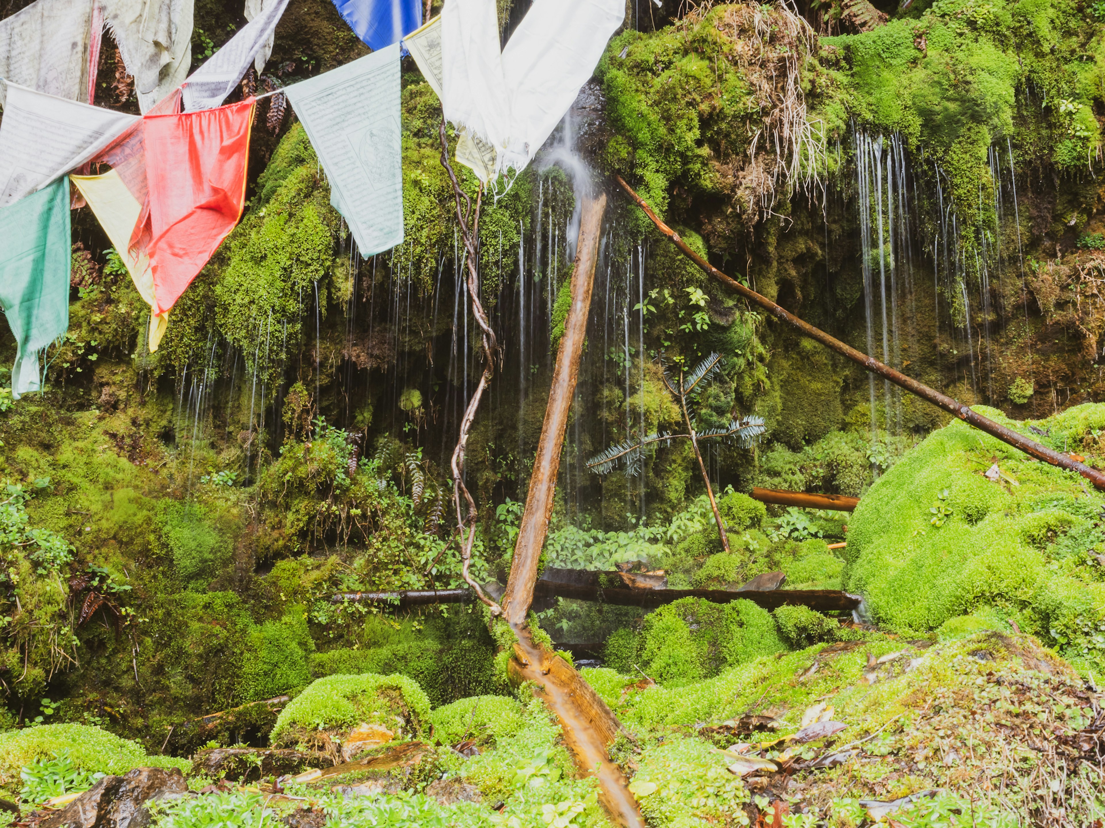 Musgo verde exuberante cubriendo una pequeña cascada con banderas de oración coloridas cercanas