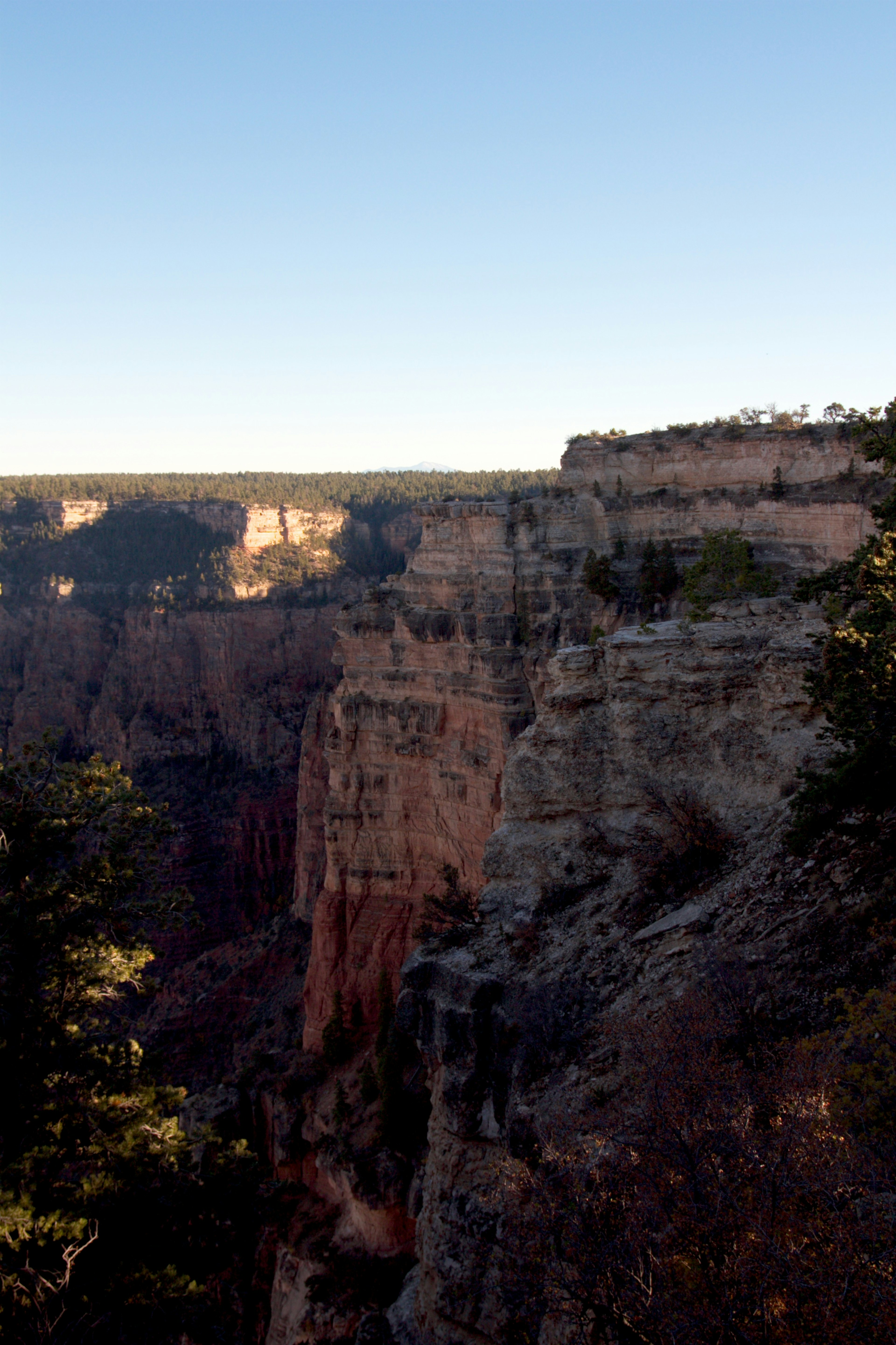 Cảnh nhìn từ vách đá Grand Canyon với bầu trời xanh trong sáng