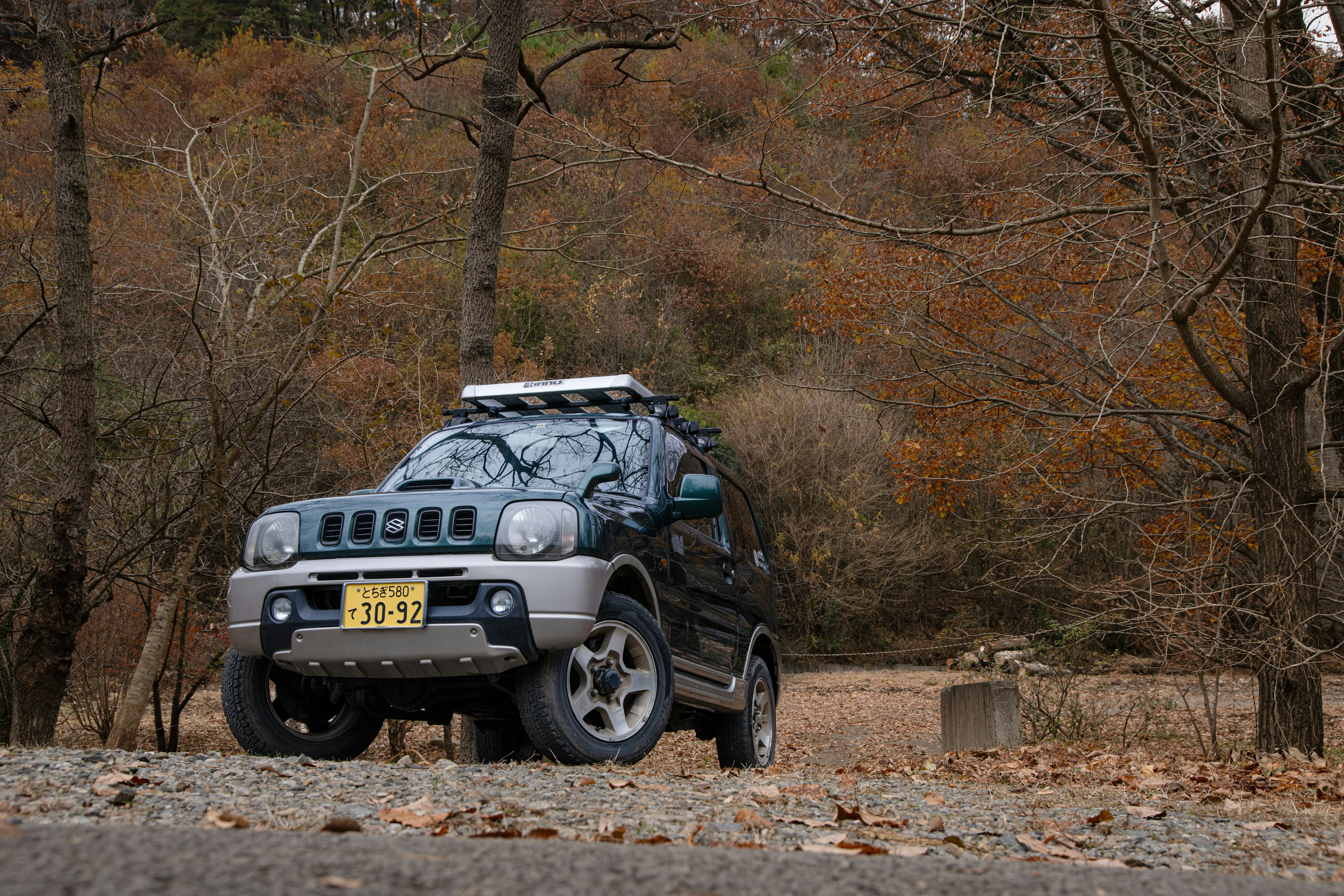 木々の間に停まるSUVの車両秋の風景