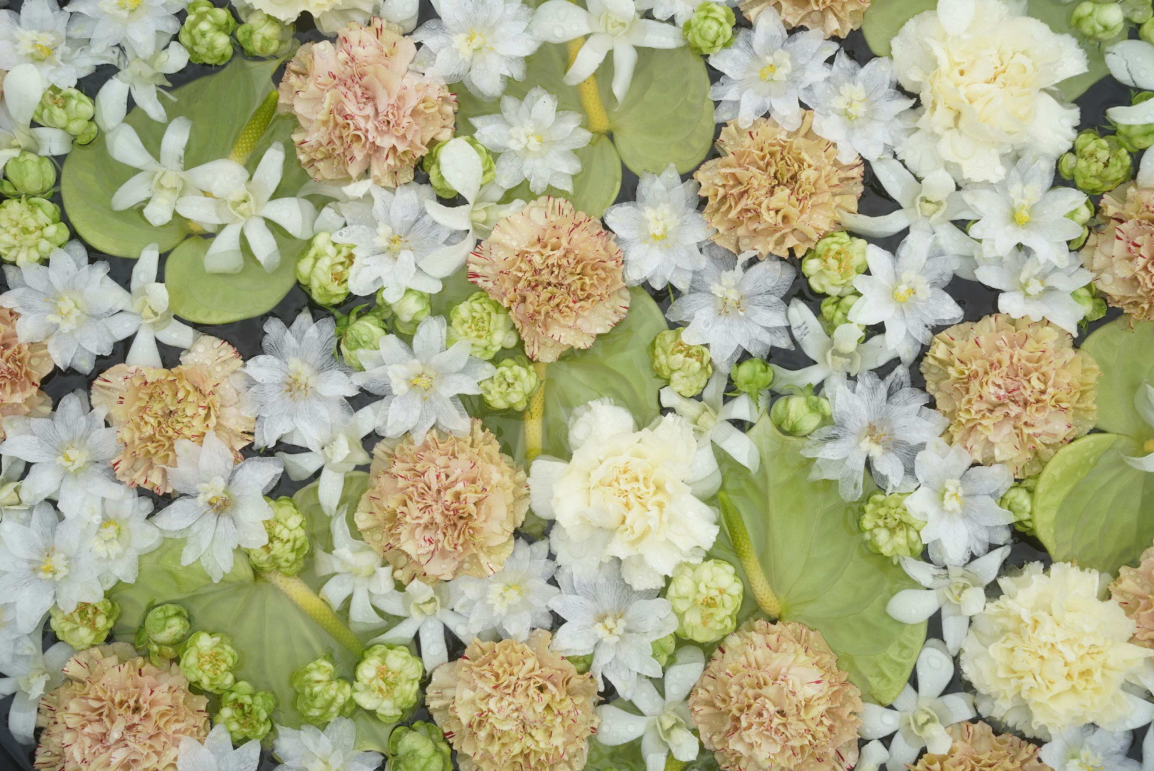 さまざまな色の花と葉が混ざった美しい花のアレンジメント