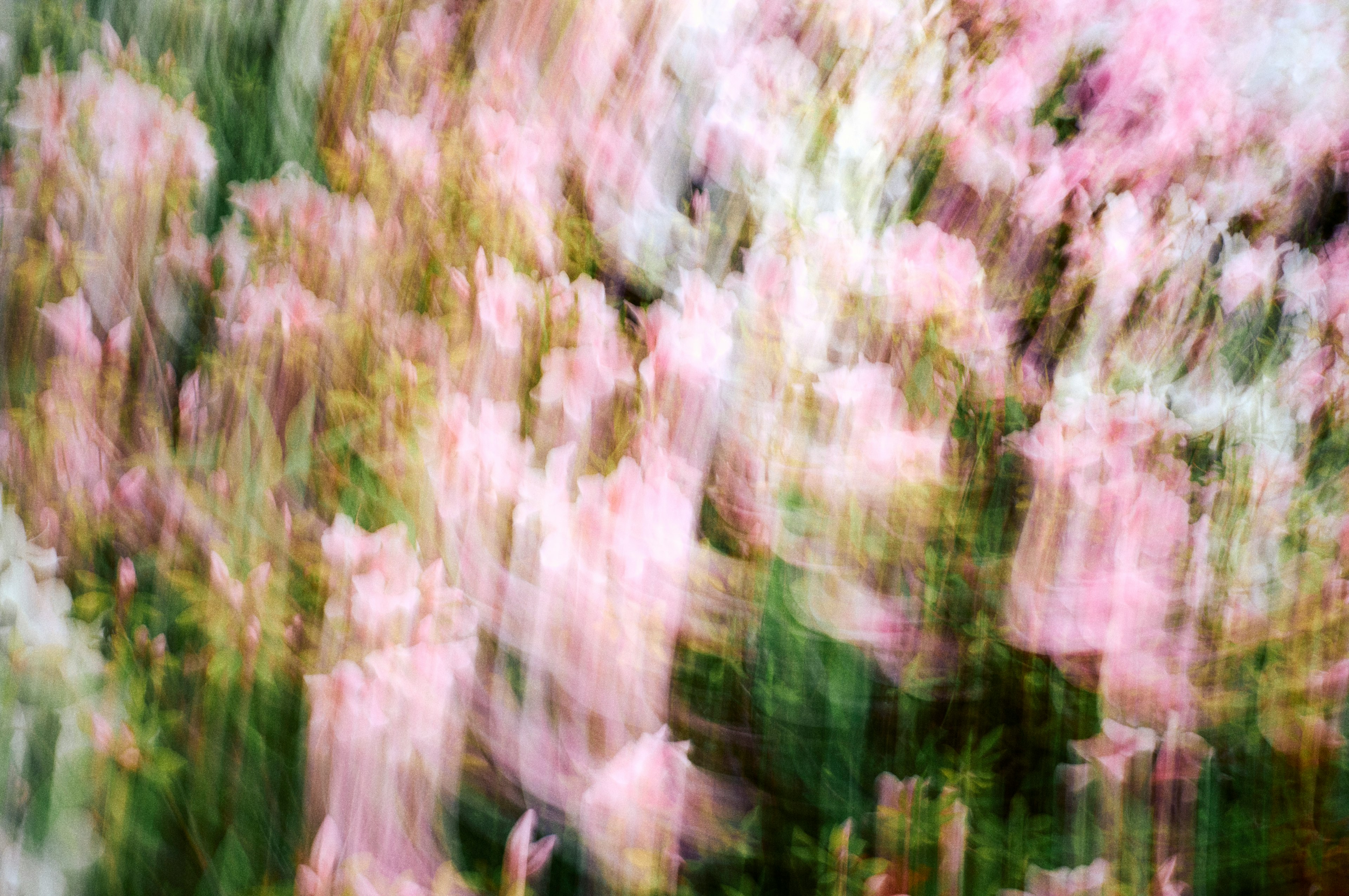 photo-lx3ULwWQh8VgbwJQVBHn-image
