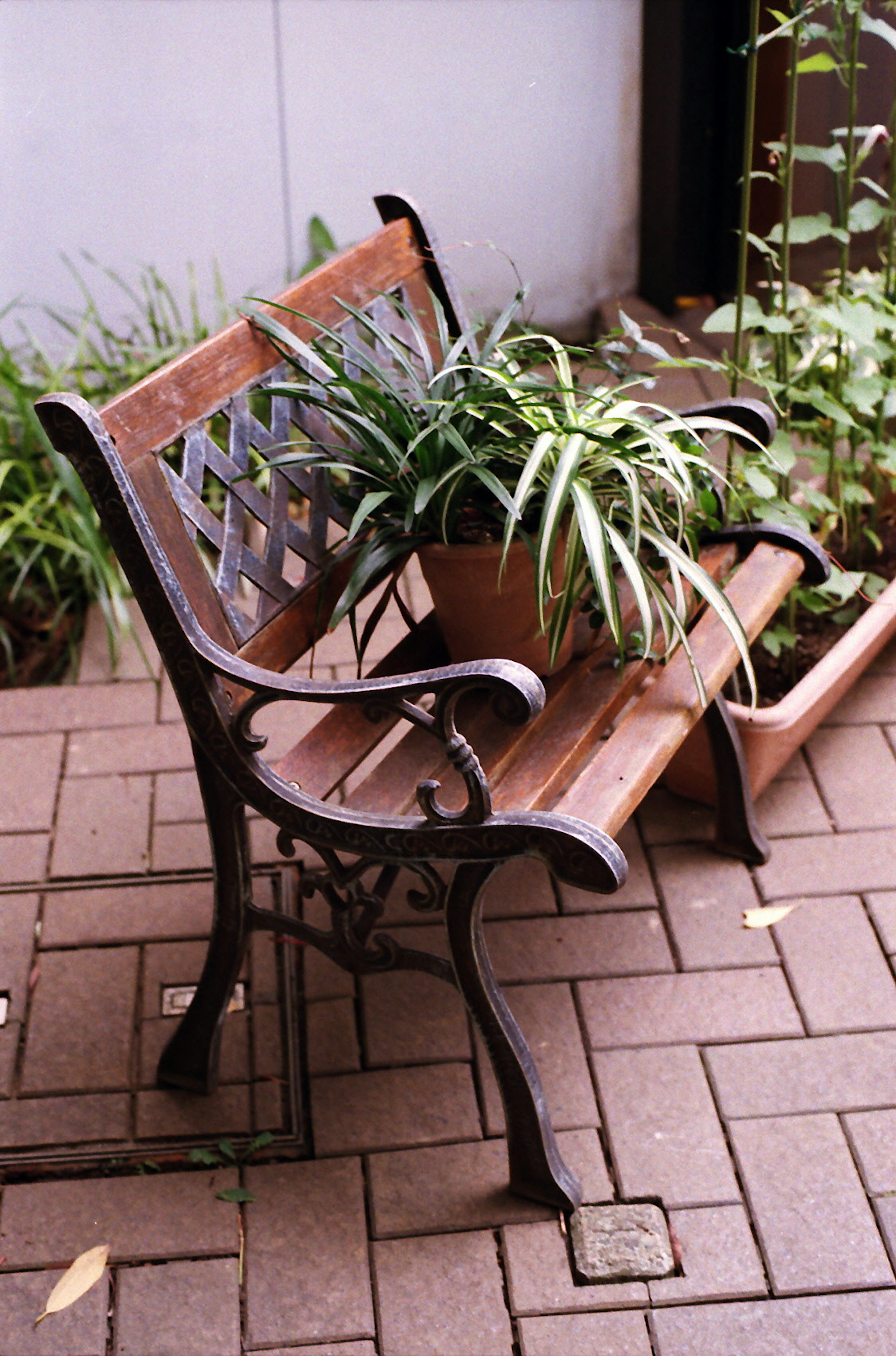 Un banc en bois et en métal avec une plante en pot dans un jardin