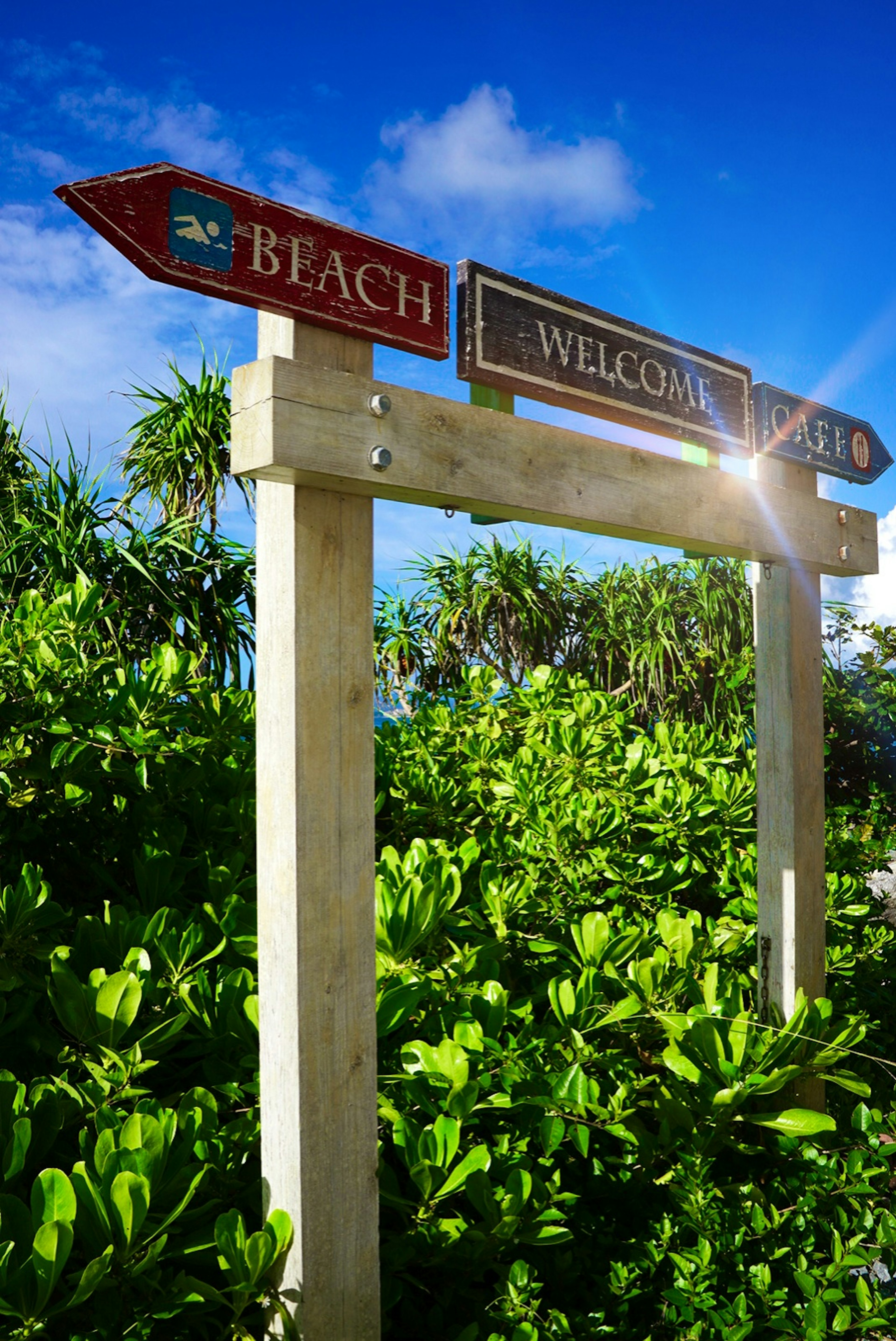 Holzschild mit Wegweisungen zum Strand und einem Willkommensschild umgeben von grünem Laub