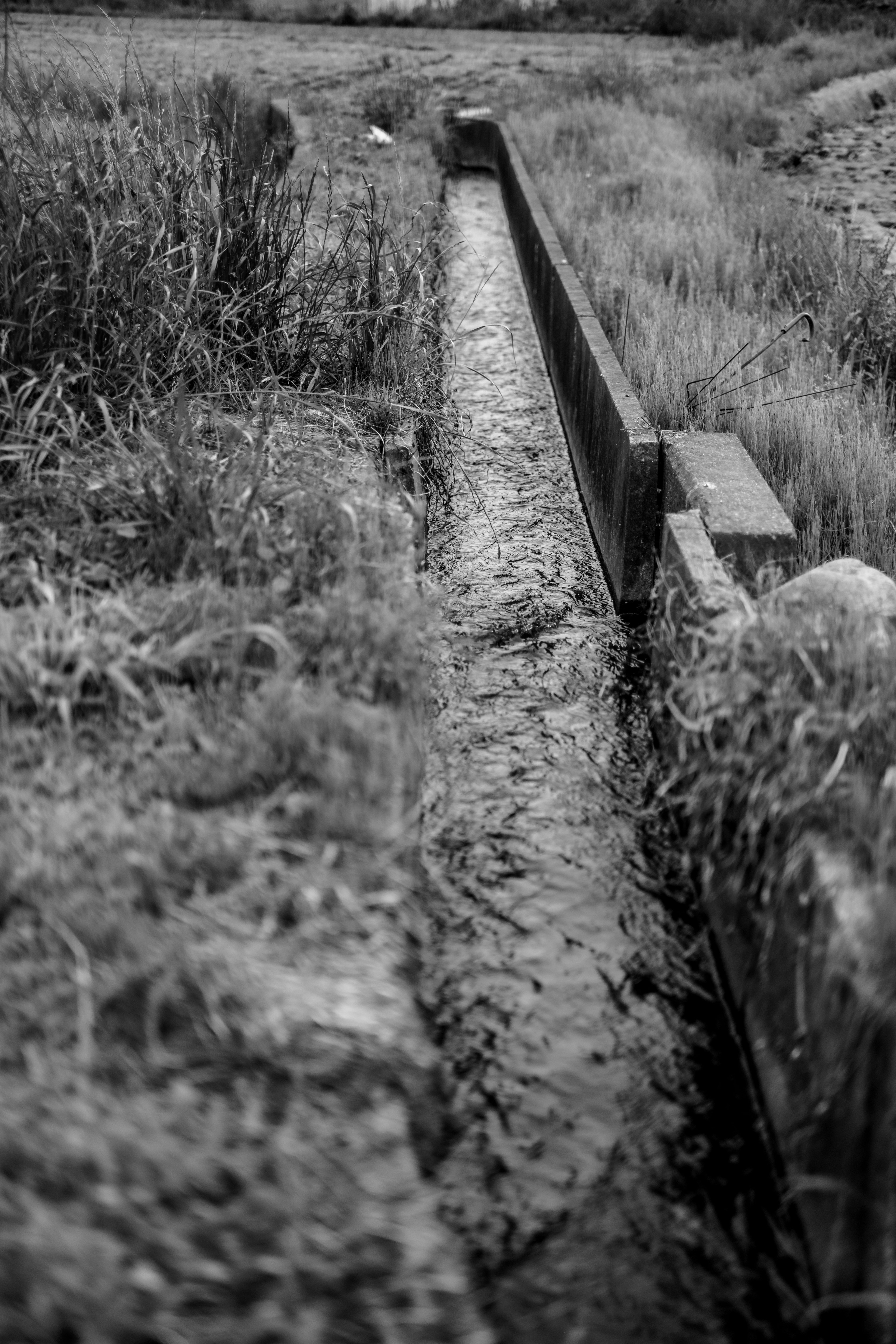 Black and white landscape featuring a water channel and surrounding grass