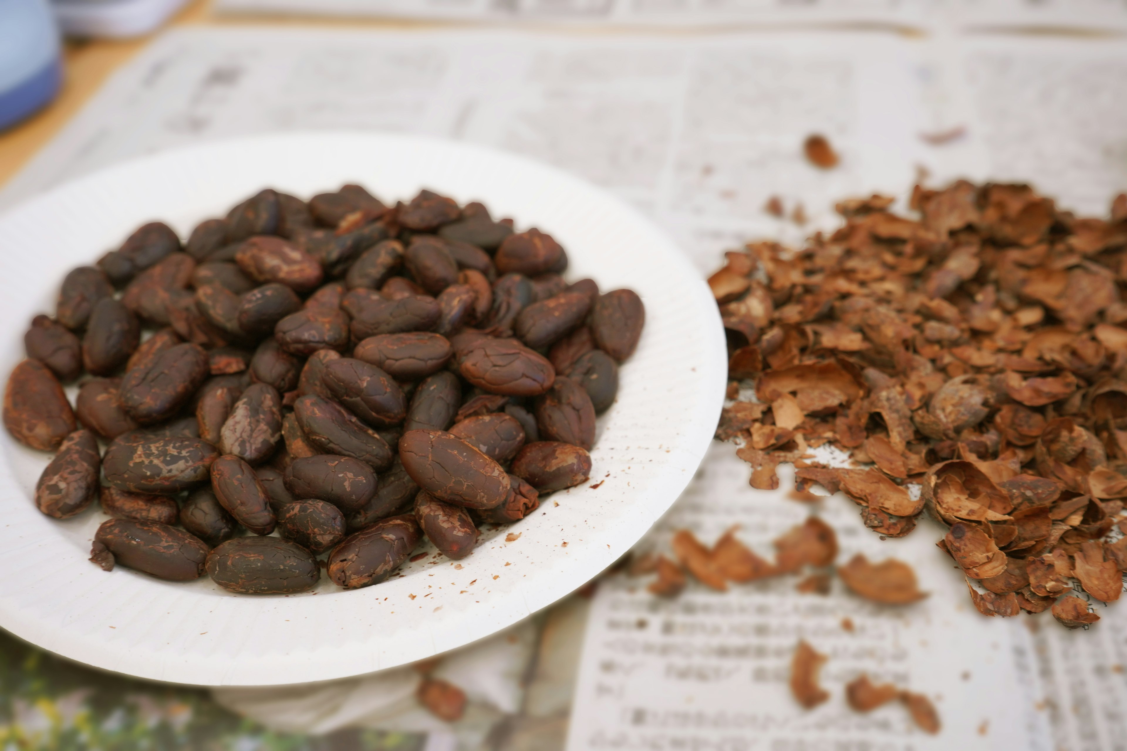 Imagen de granos de cacao en un plato blanco junto a cáscaras de cacao sobre un periódico