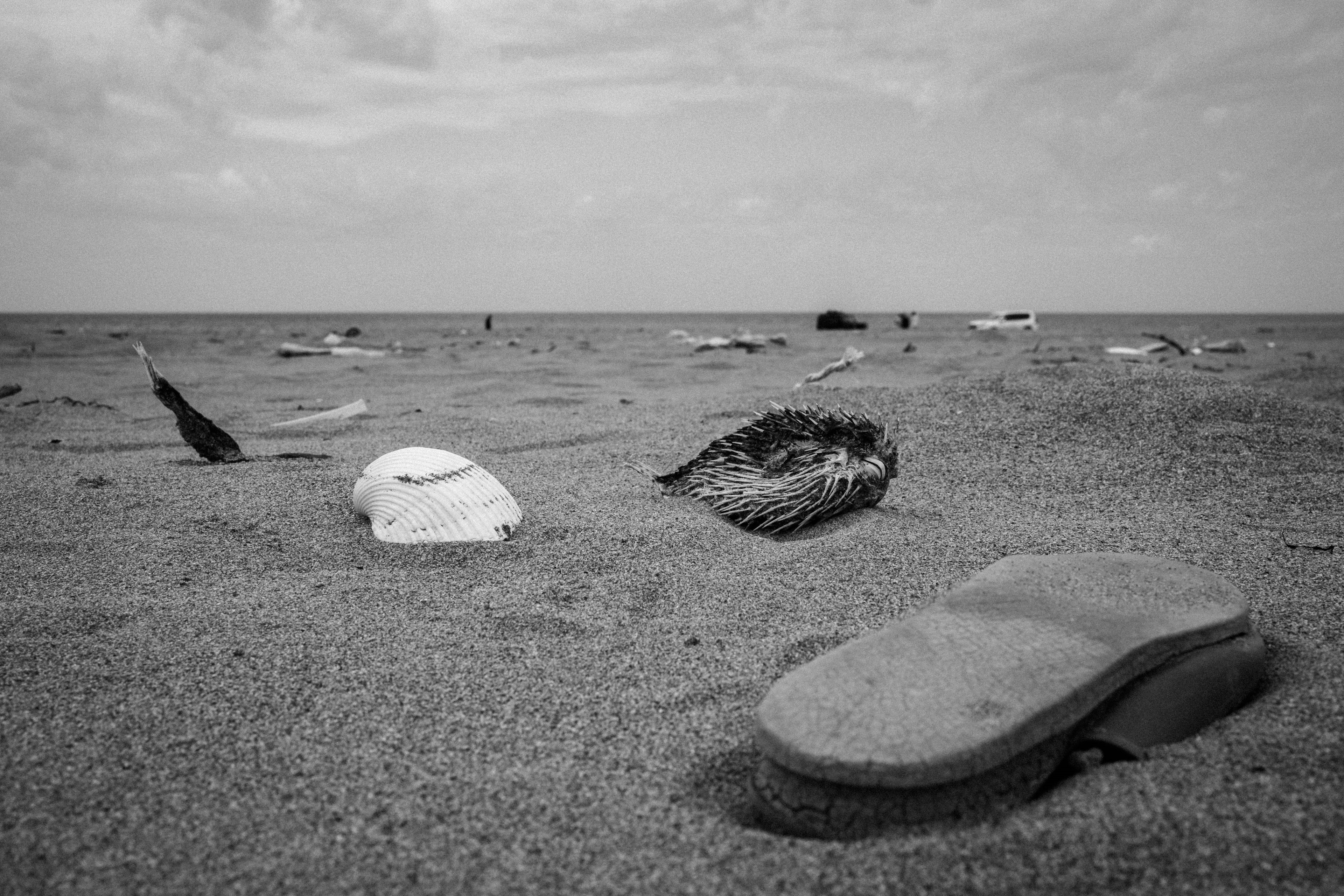 Foto hitam putih sandal dan kerang yang berserakan di pantai