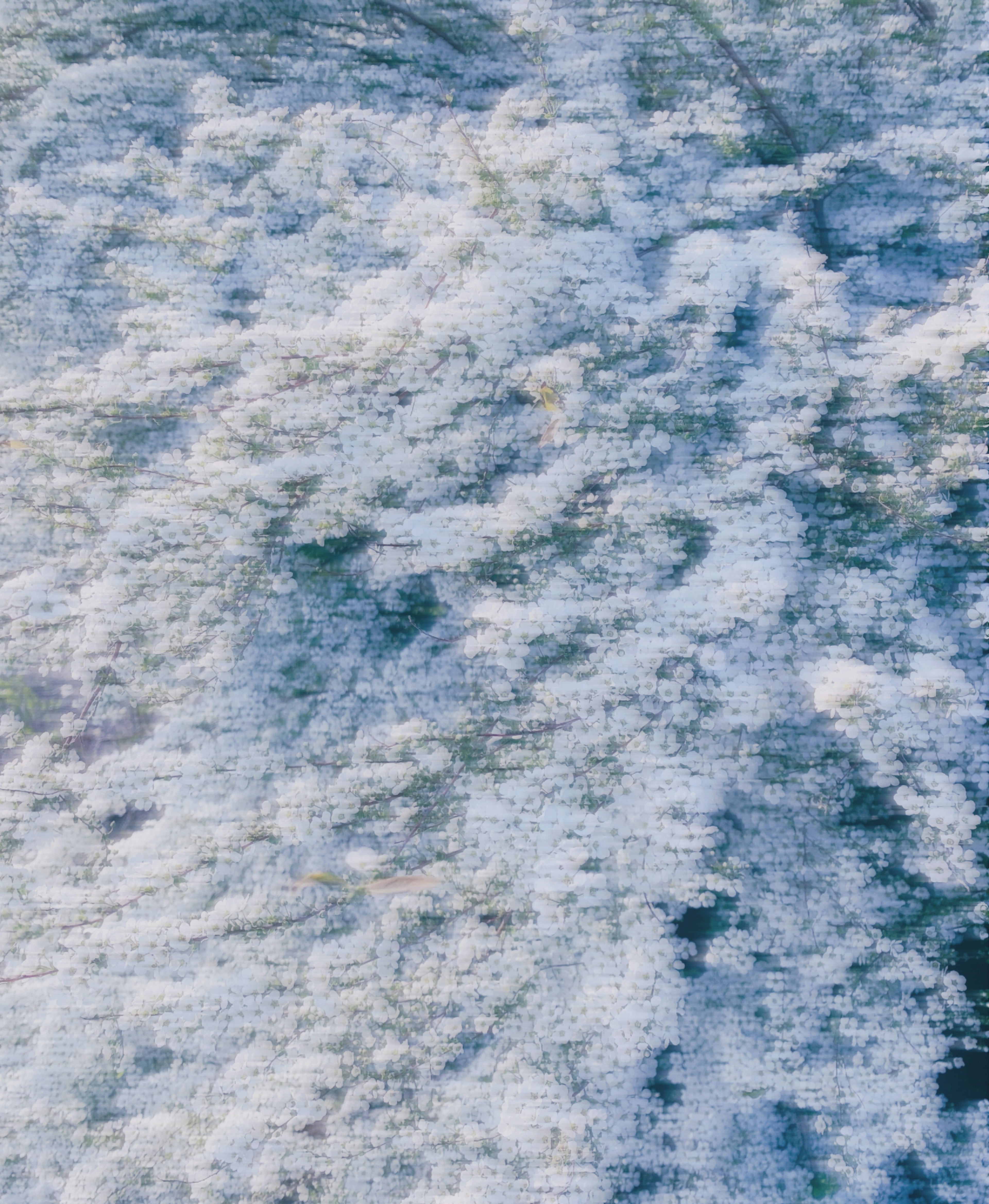 青い水面に白い泡のような模様が広がっている