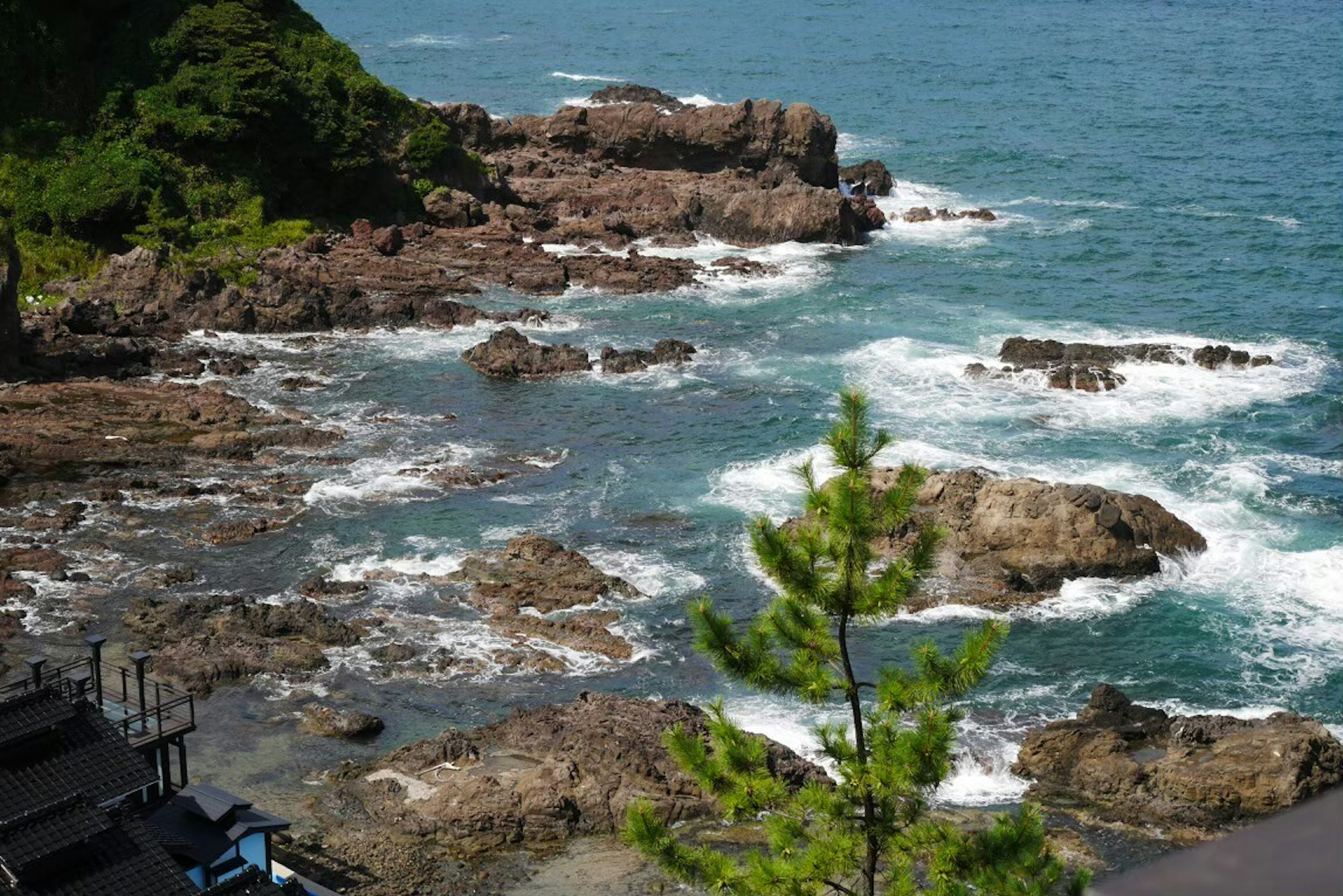 Scenic view of blue ocean with rocky coastline and green foliage