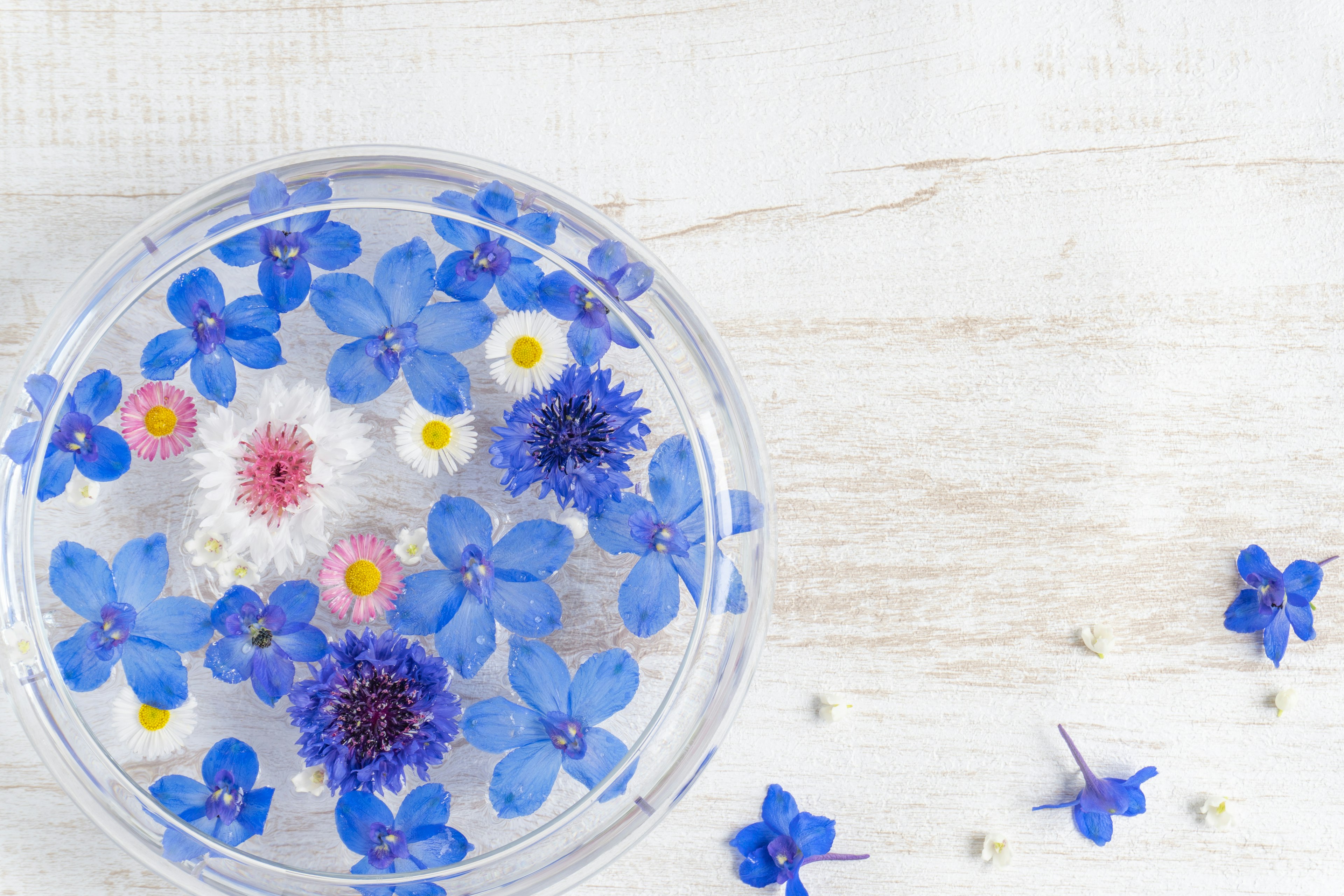 A clear dish with blue and white flowers floating