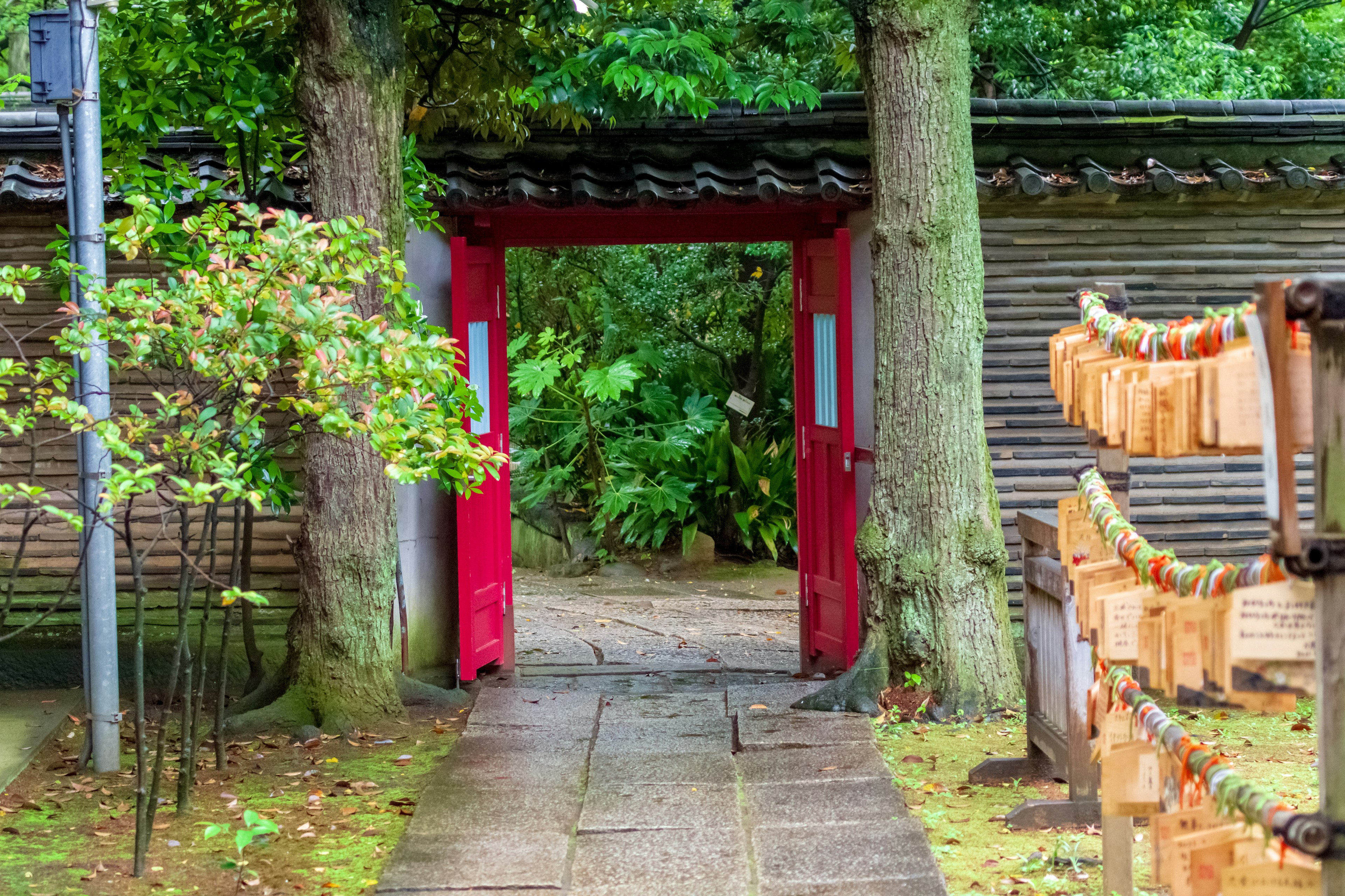 Una escena de jardín vibrante con una puerta roja que lleva a un follaje exuberante