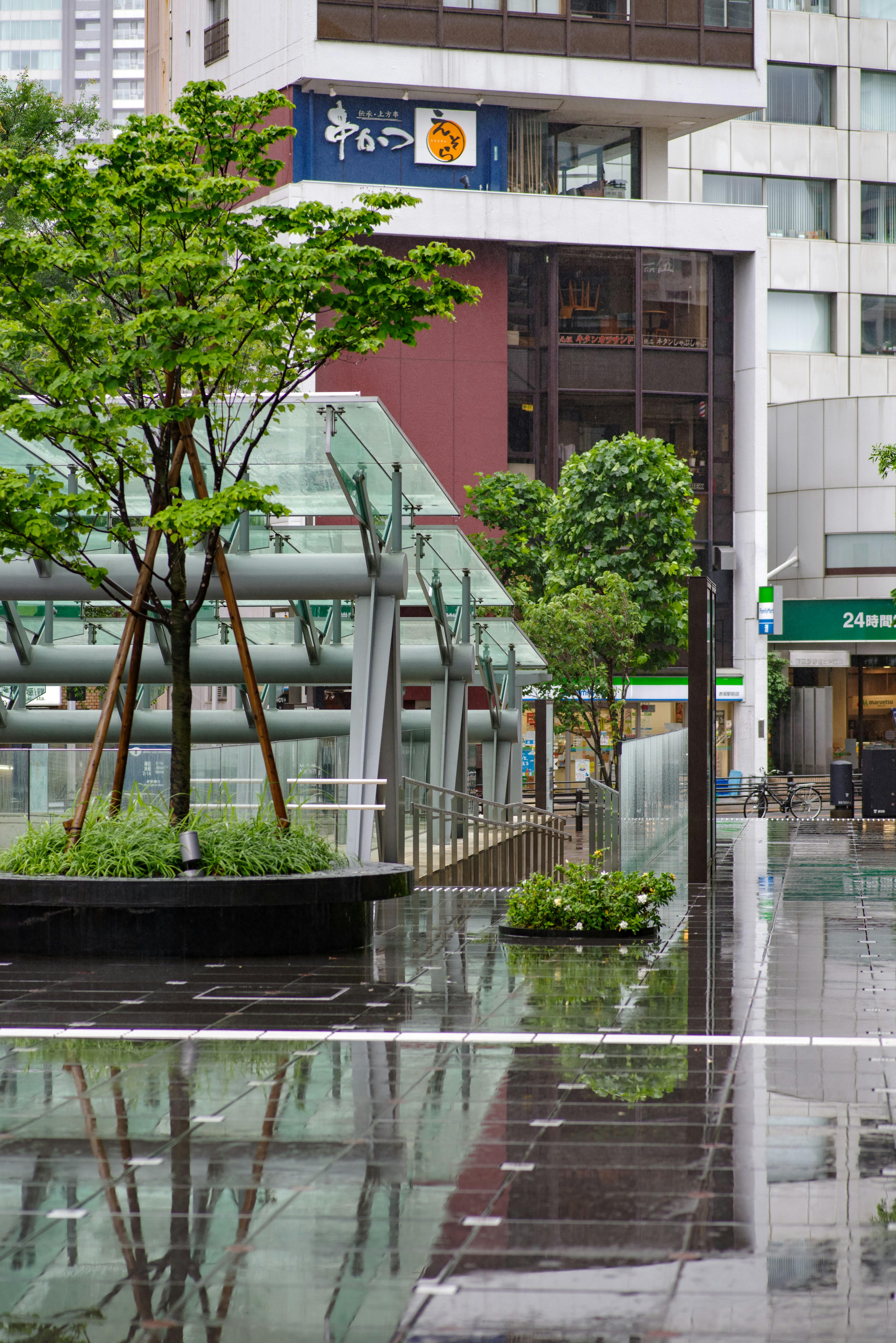 城市公園場景濕潤的路面綠色樹木和玻璃結構