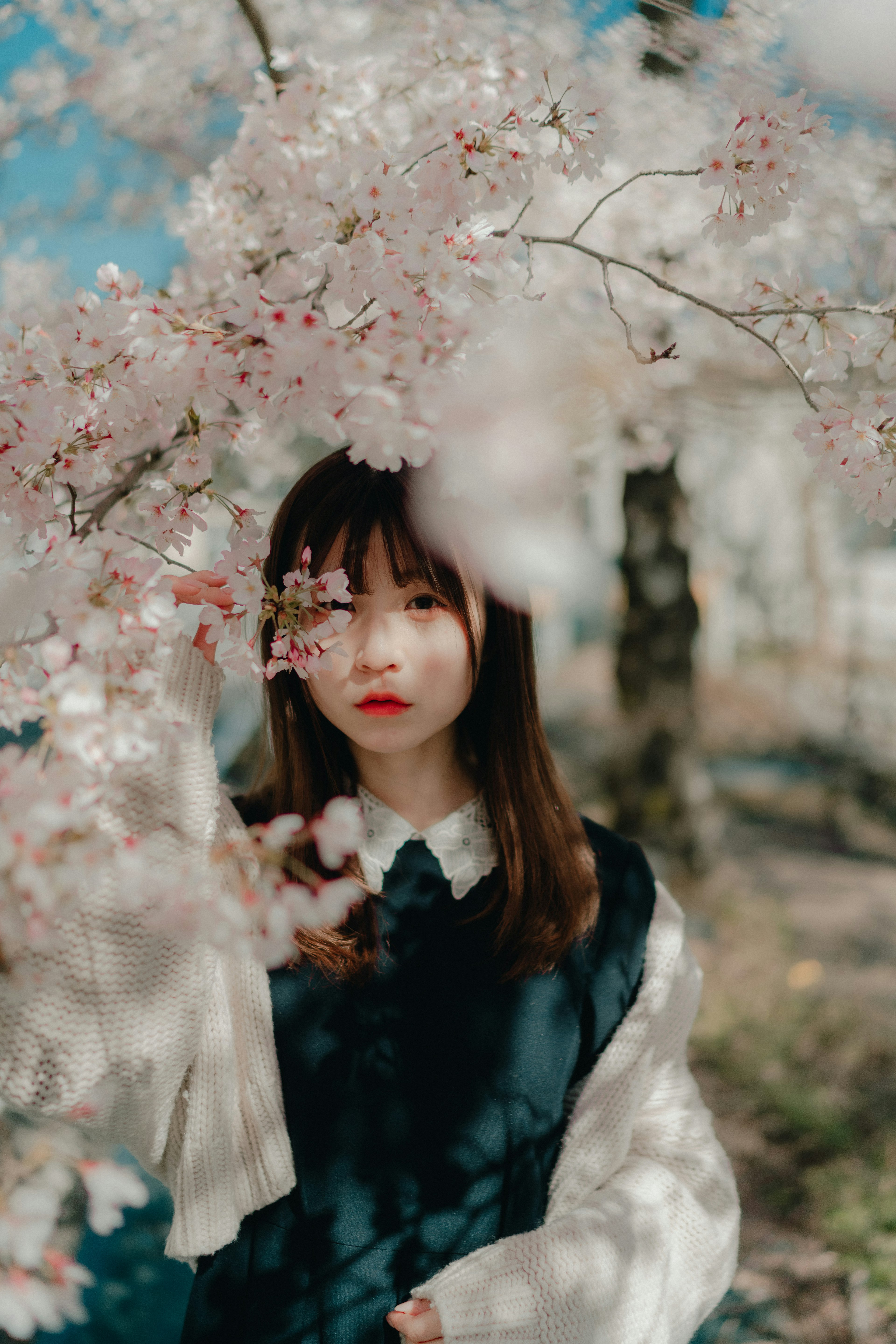 Giovane donna tra i fiori di ciliegio che guarda la fotocamera Cielo blu e sfondo sfocato