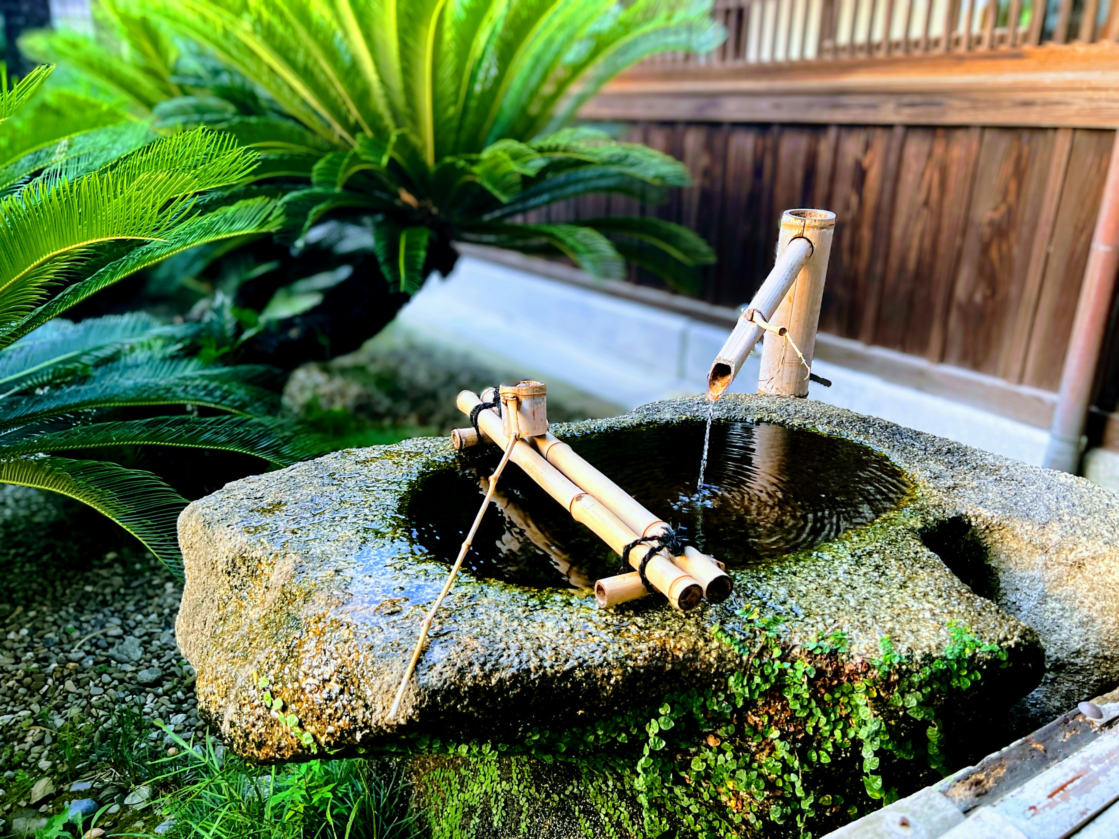 Giardino giapponese con fontana in bambù e bacino di pietra