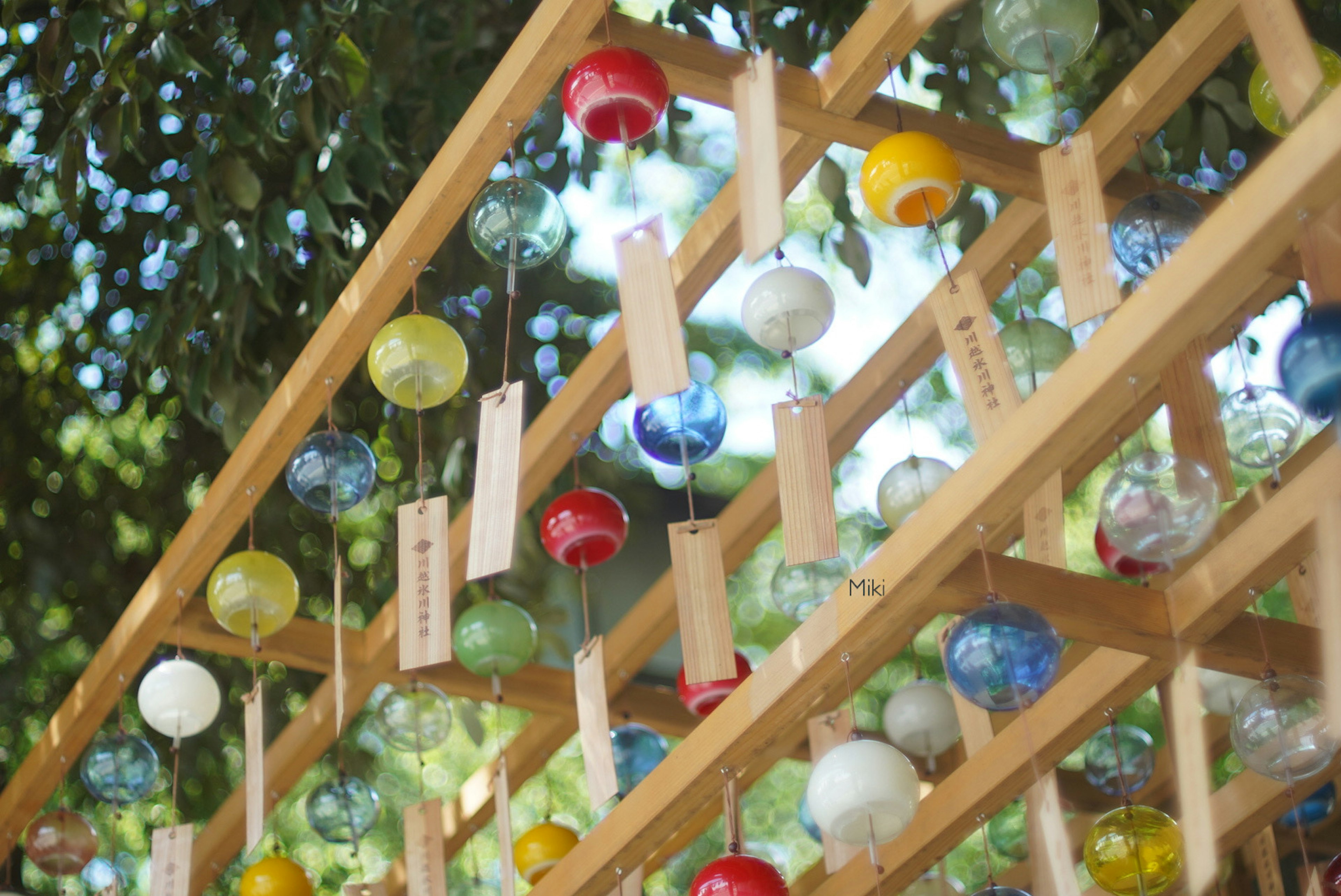 Campanas de viento coloridas colgando de una estructura de madera bajo la vegetación