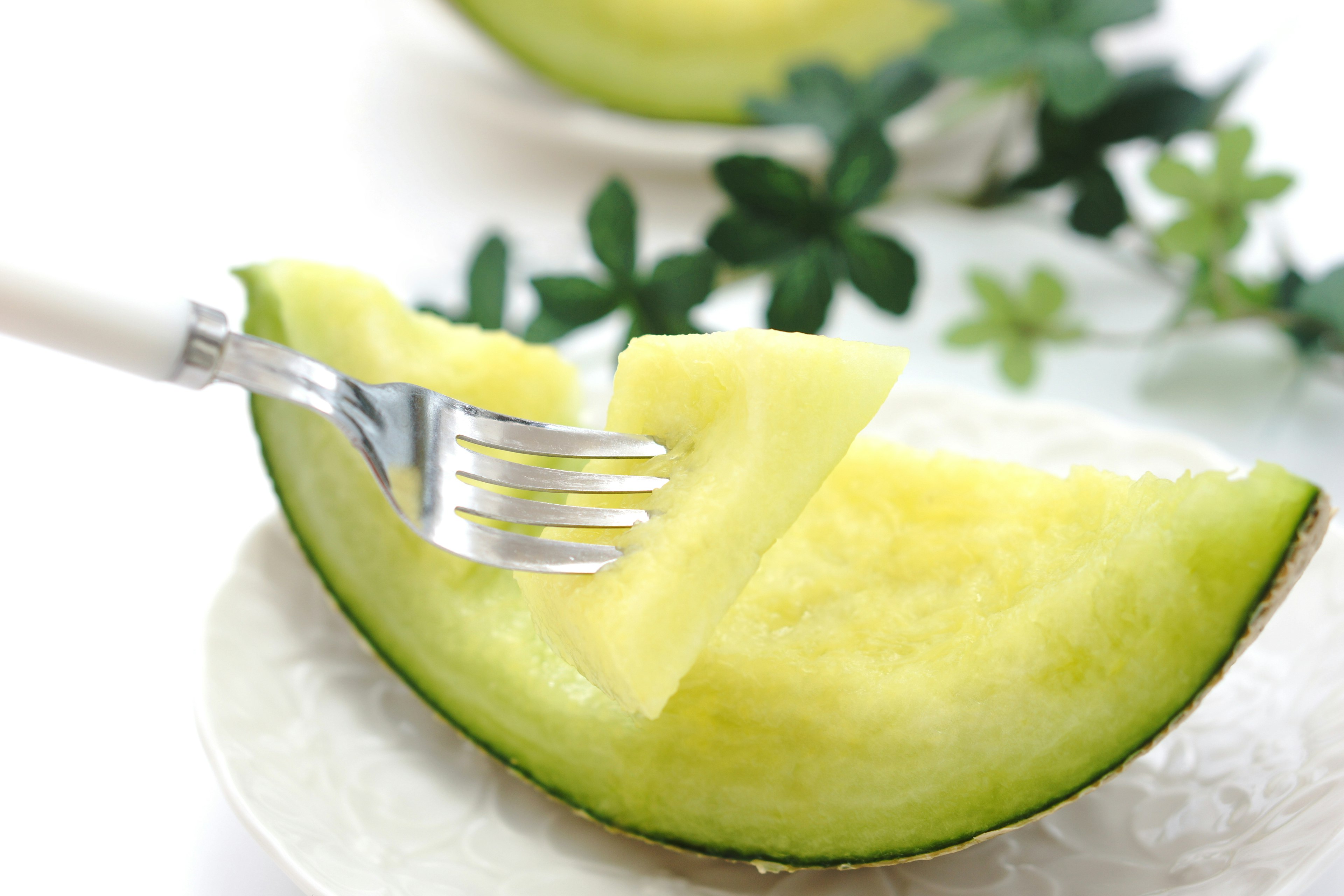 Fresh slice of melon with a fork on a white plate