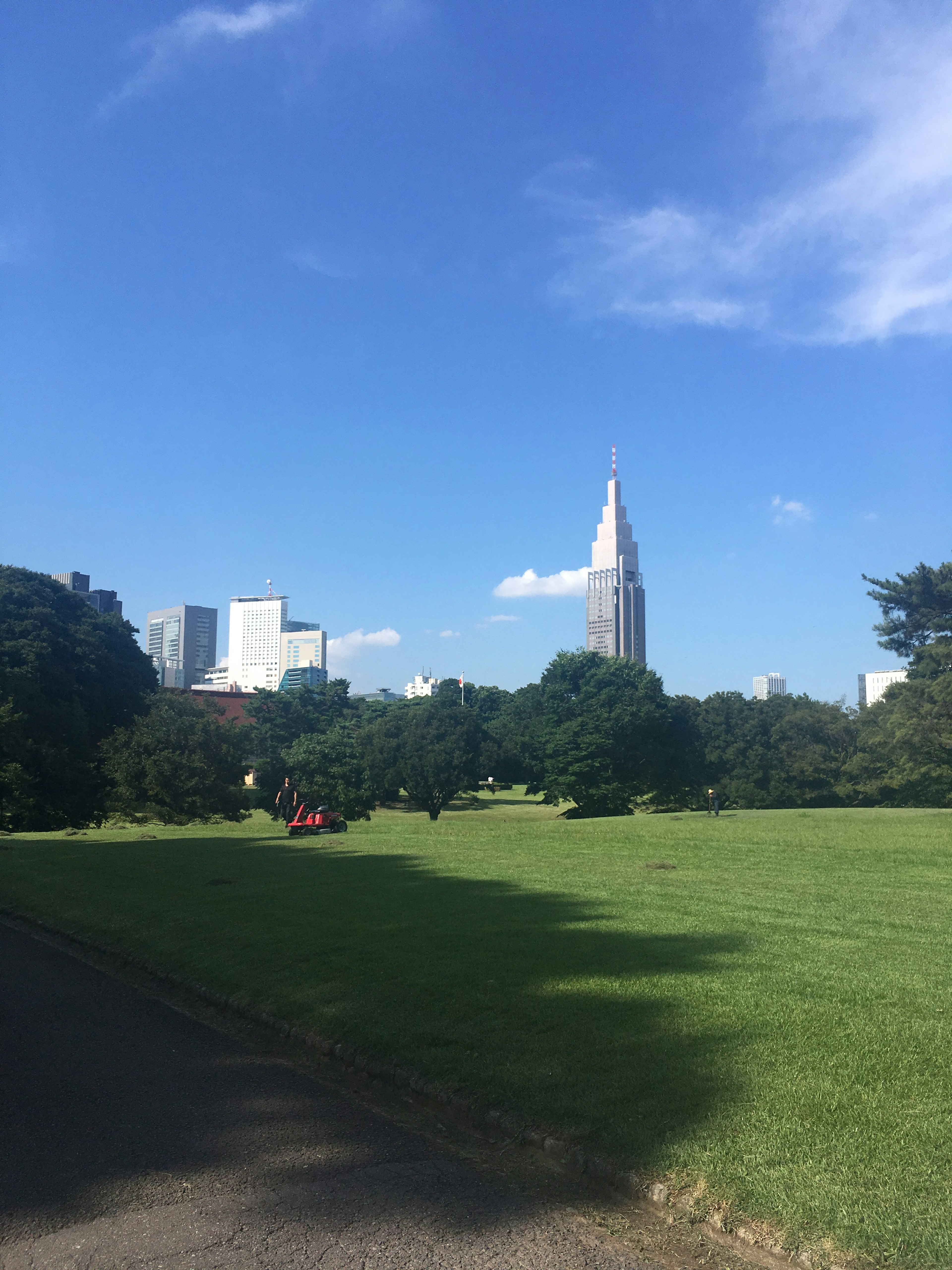 Green park under a blue sky with city skyscrapers in the background