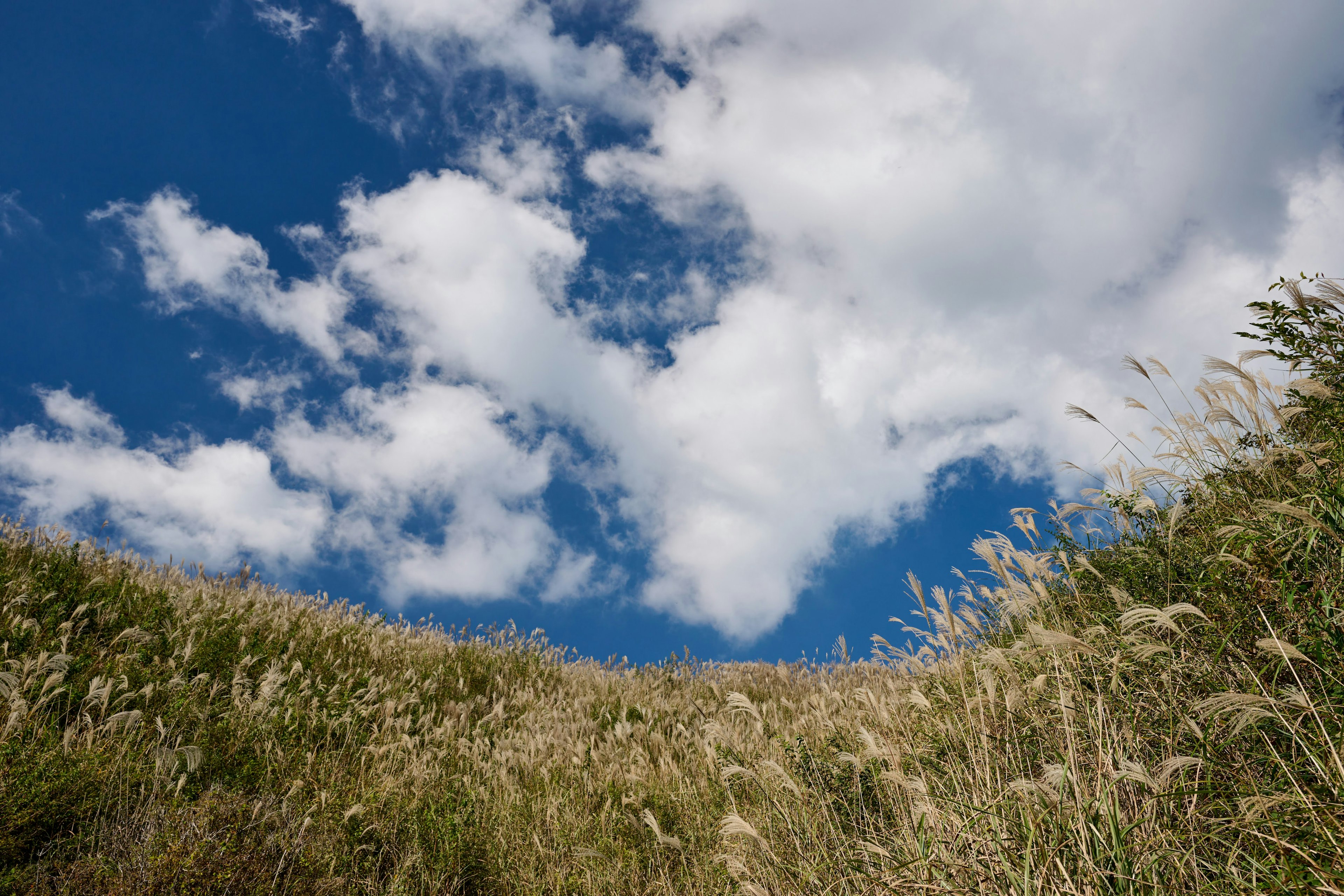 Un paisaje de colinas cubiertas de hierba bajo un cielo azul con nubes blancas